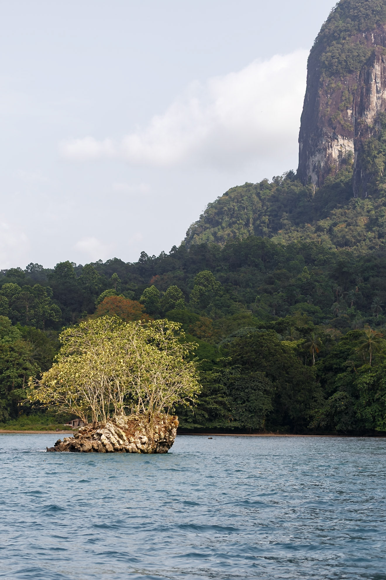 , Pagué, São Tomé and Príncipe [Feb 2026]
