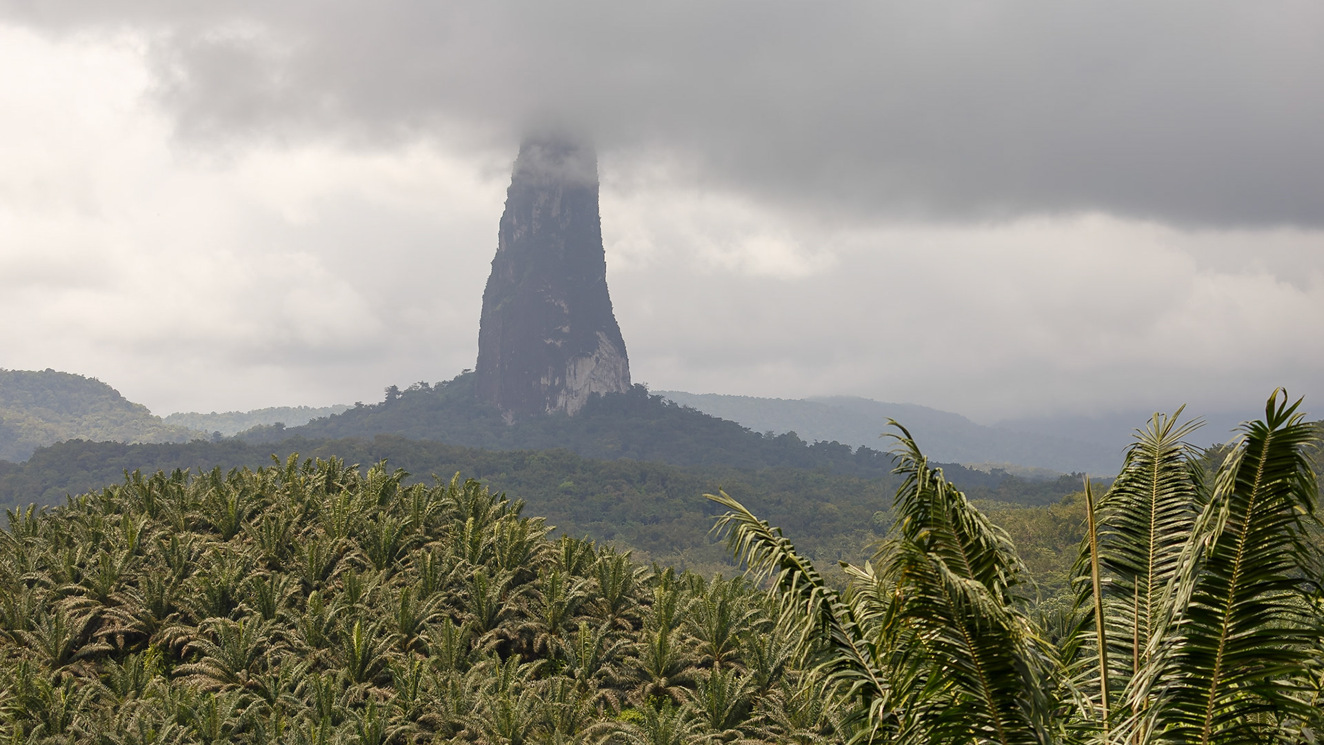 , Caué, São Tomé and Príncipe [Jan 2026]