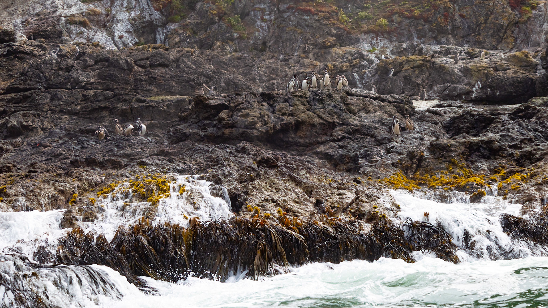 Ancud, Los Lagos, Chile [Jan 2024]