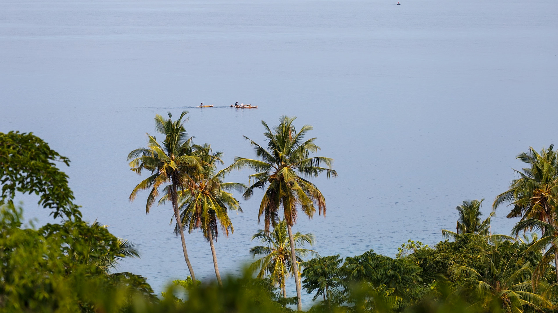 Ponta Figo, Lembá, São Tomé and Príncipe [Jan 2026]