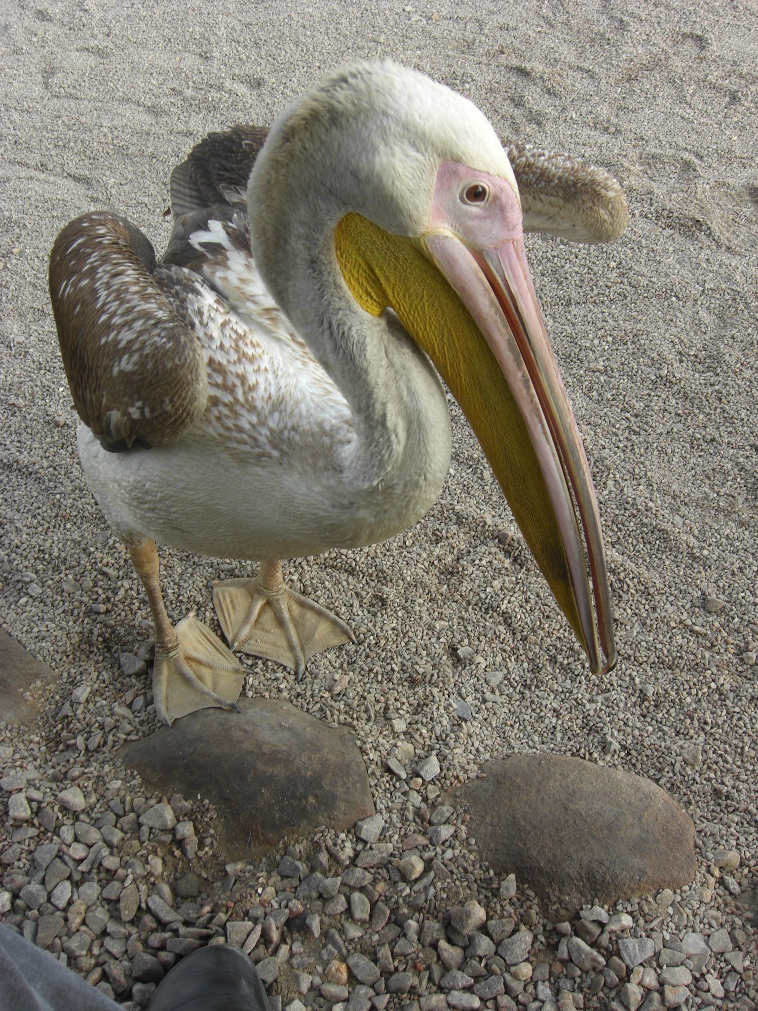, Erongo, Namibia [Apr 2010]