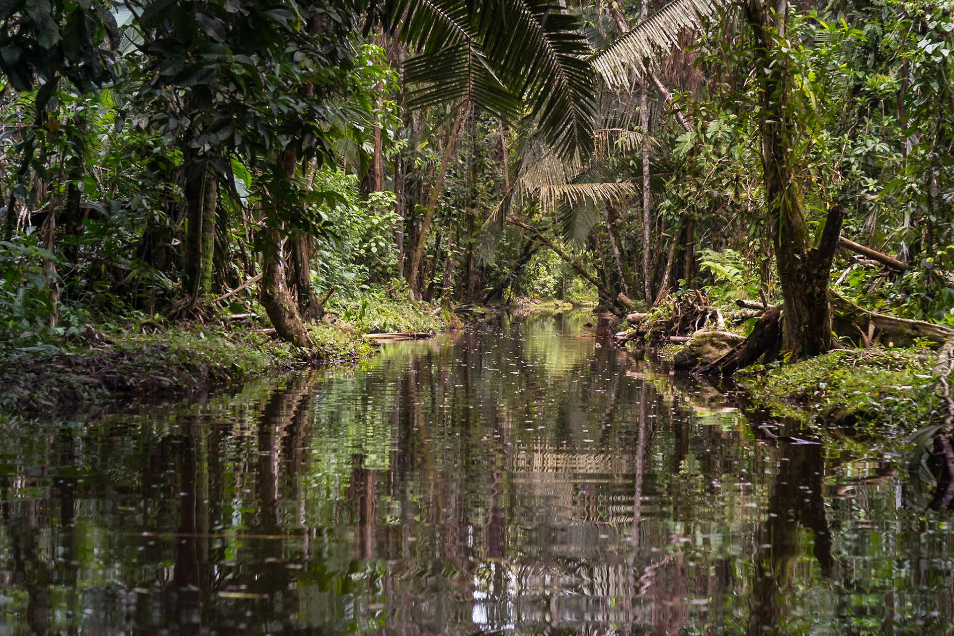 Shushufindi Canton, Sucumbíos, Ecuador [Mar 2022]