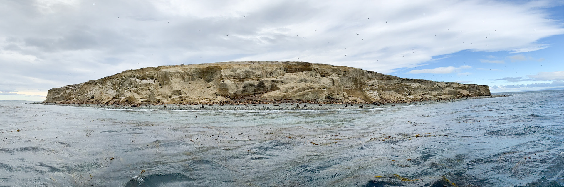 Punta Arenas, Magellan and the Chilean Antarctic, Chile [Jan 2024]