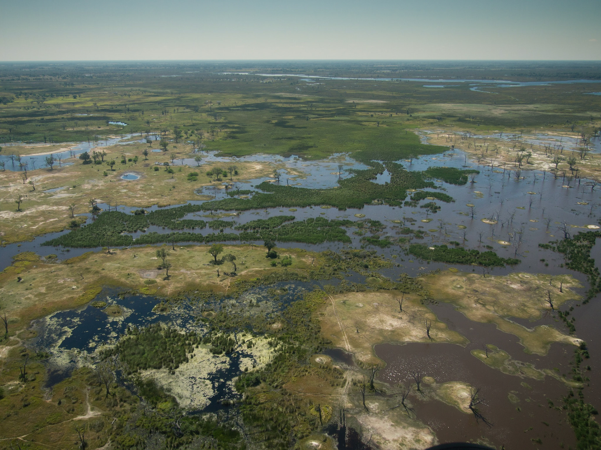 , North West, Botswana [Apr 2014]