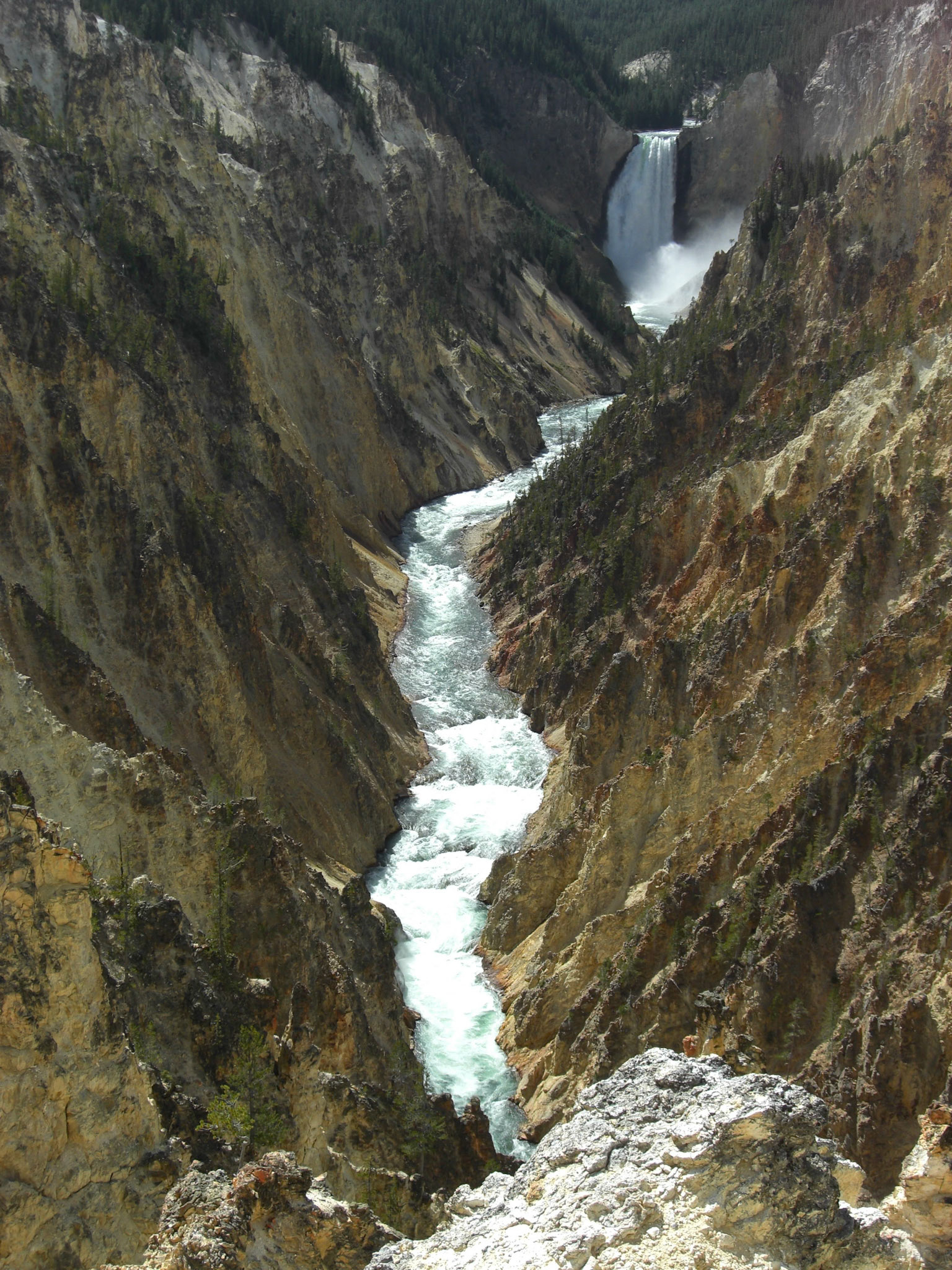 Yellowstone National Park, Wyoming, United States [Aug 2008]