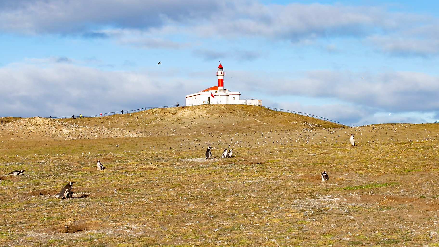 Punta Arenas, Magellan and the Chilean Antarctic, Chile [Jan 2024]