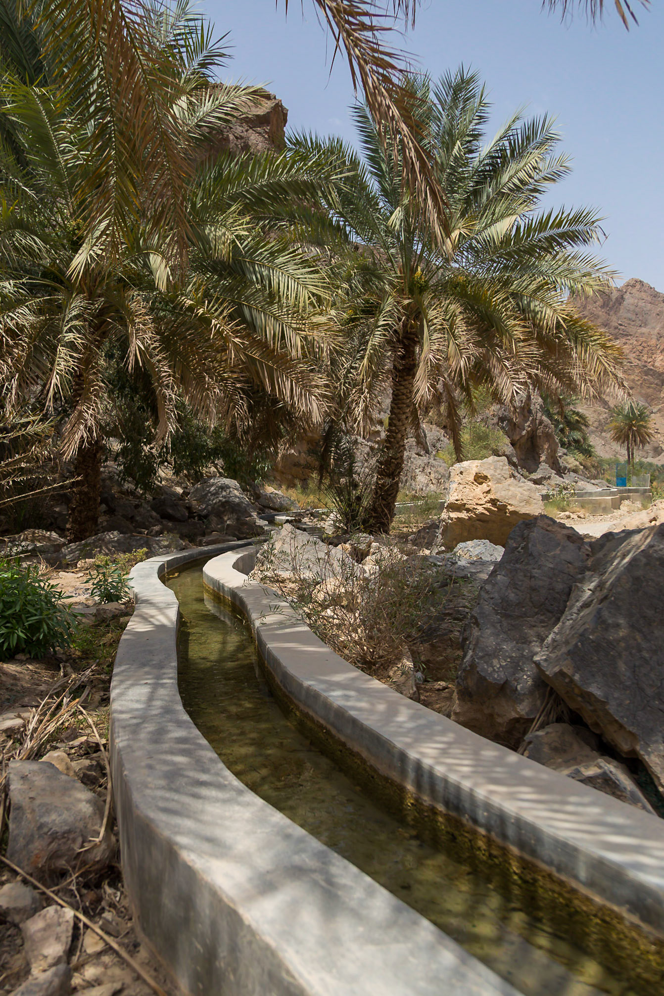 Qurayyat, Muscat Governorate, Oman [Apr 2018]