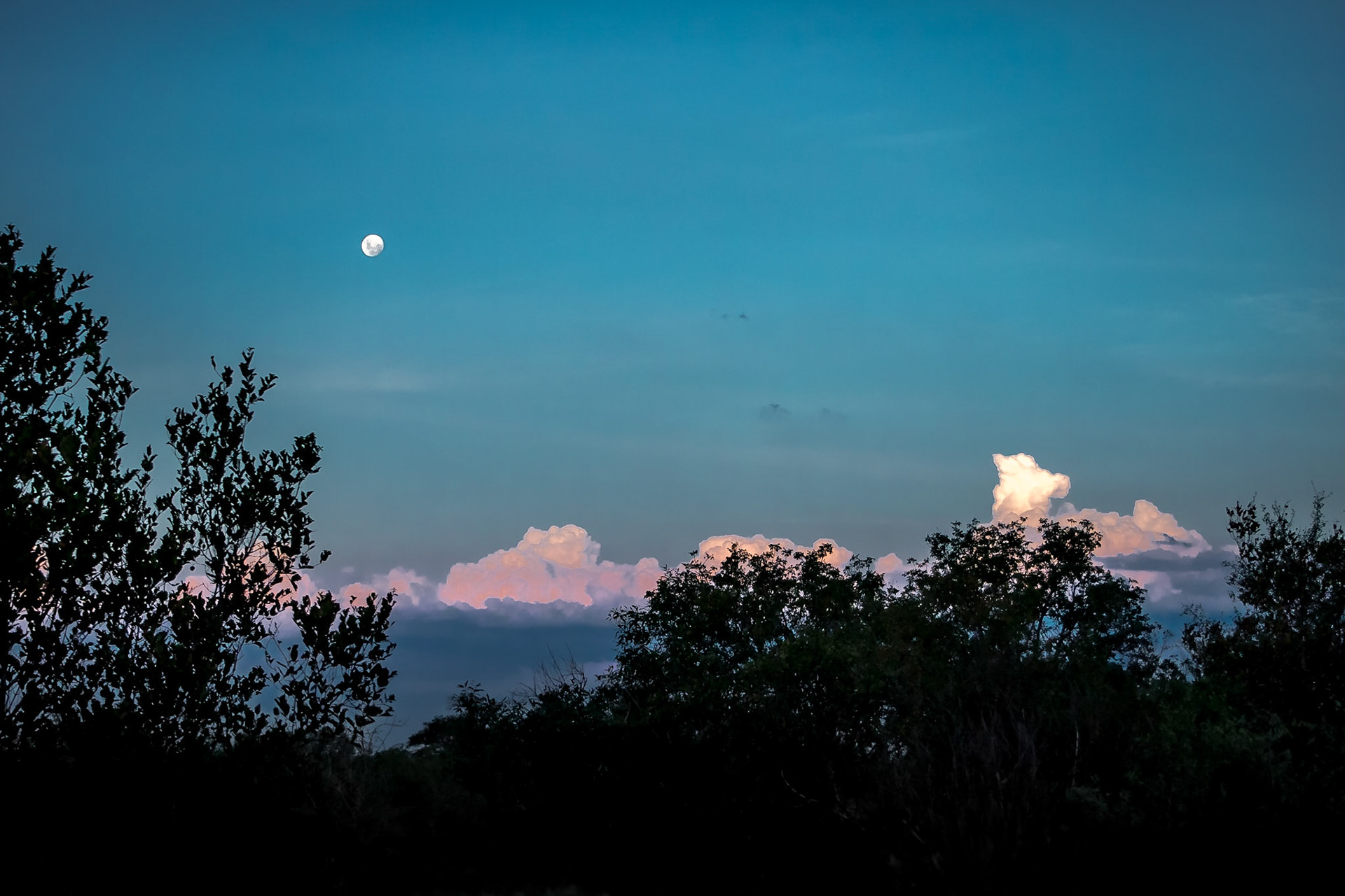 Makalali, Limpopo, South Africa [Mar 2016]