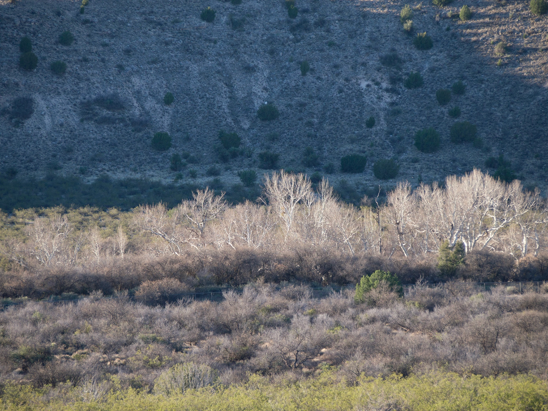 Camp Verde, Arizona, United States [Mar 2014]