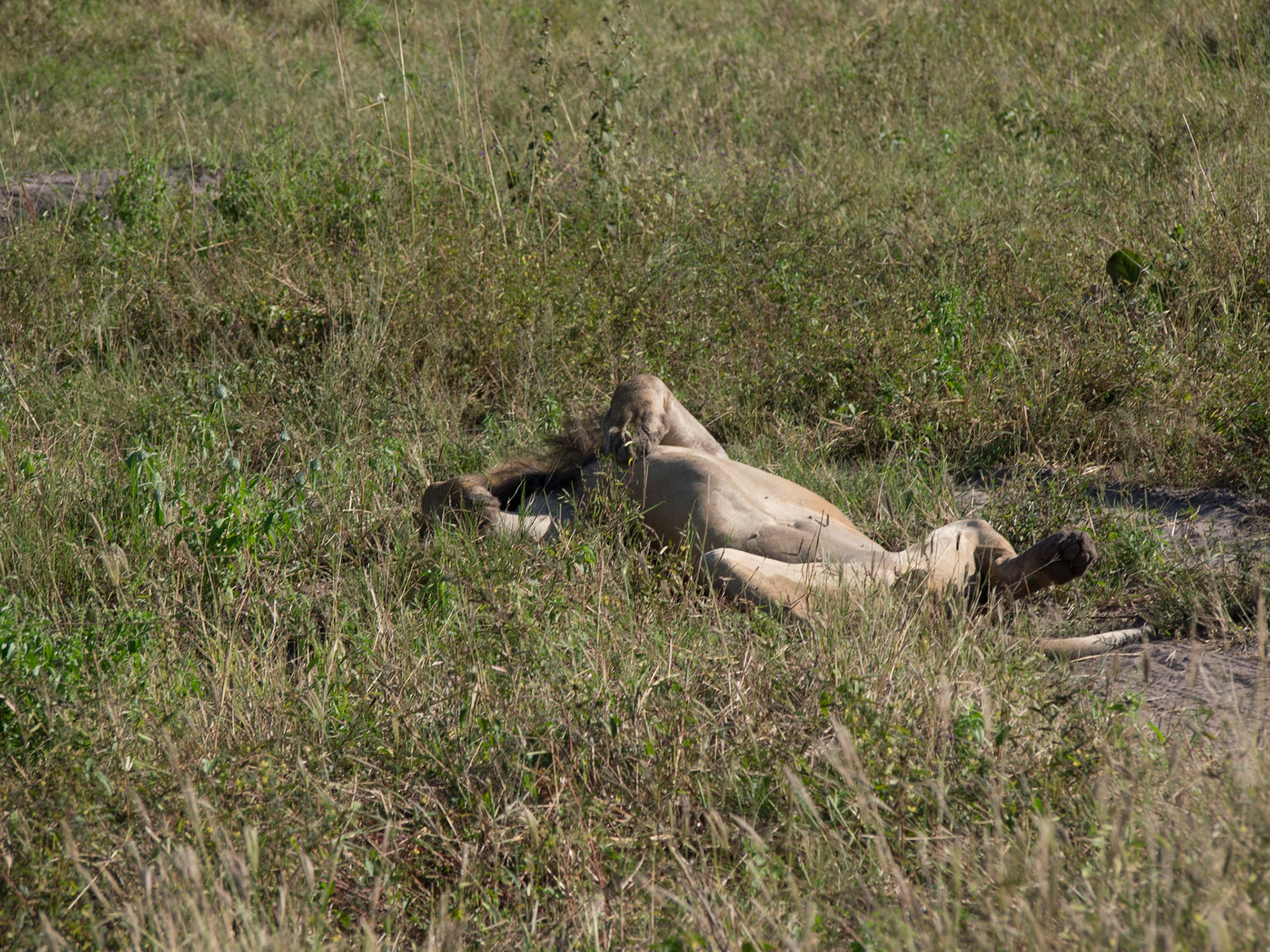 , North West, Botswana [Apr 2014]