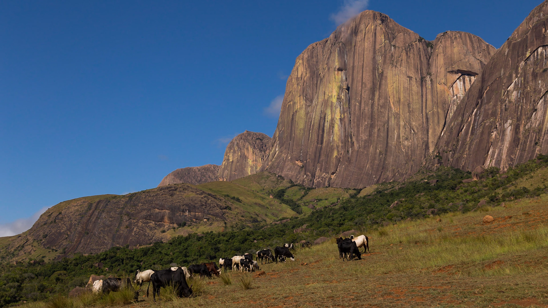 Camp Catta, Haute Matsiatra, Madagascar [Apr 2019]
