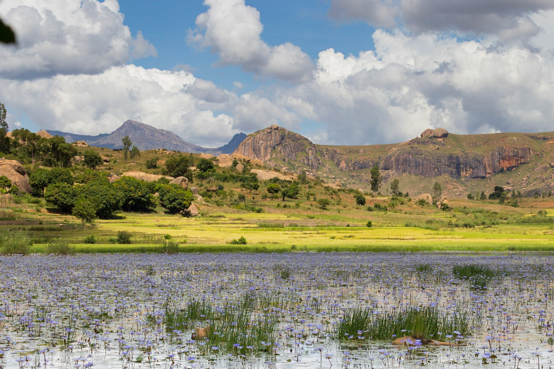 Anja Community Reserve, Haute Matsiatra, Madagascar [Apr 2019]