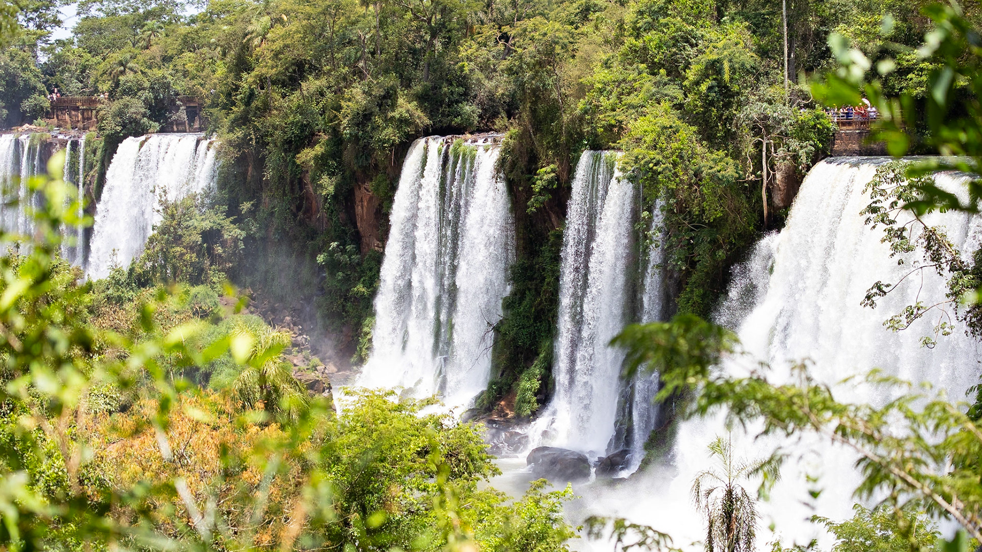 Puerto Iguazú, Misiones, Argentina [Feb 2024]
