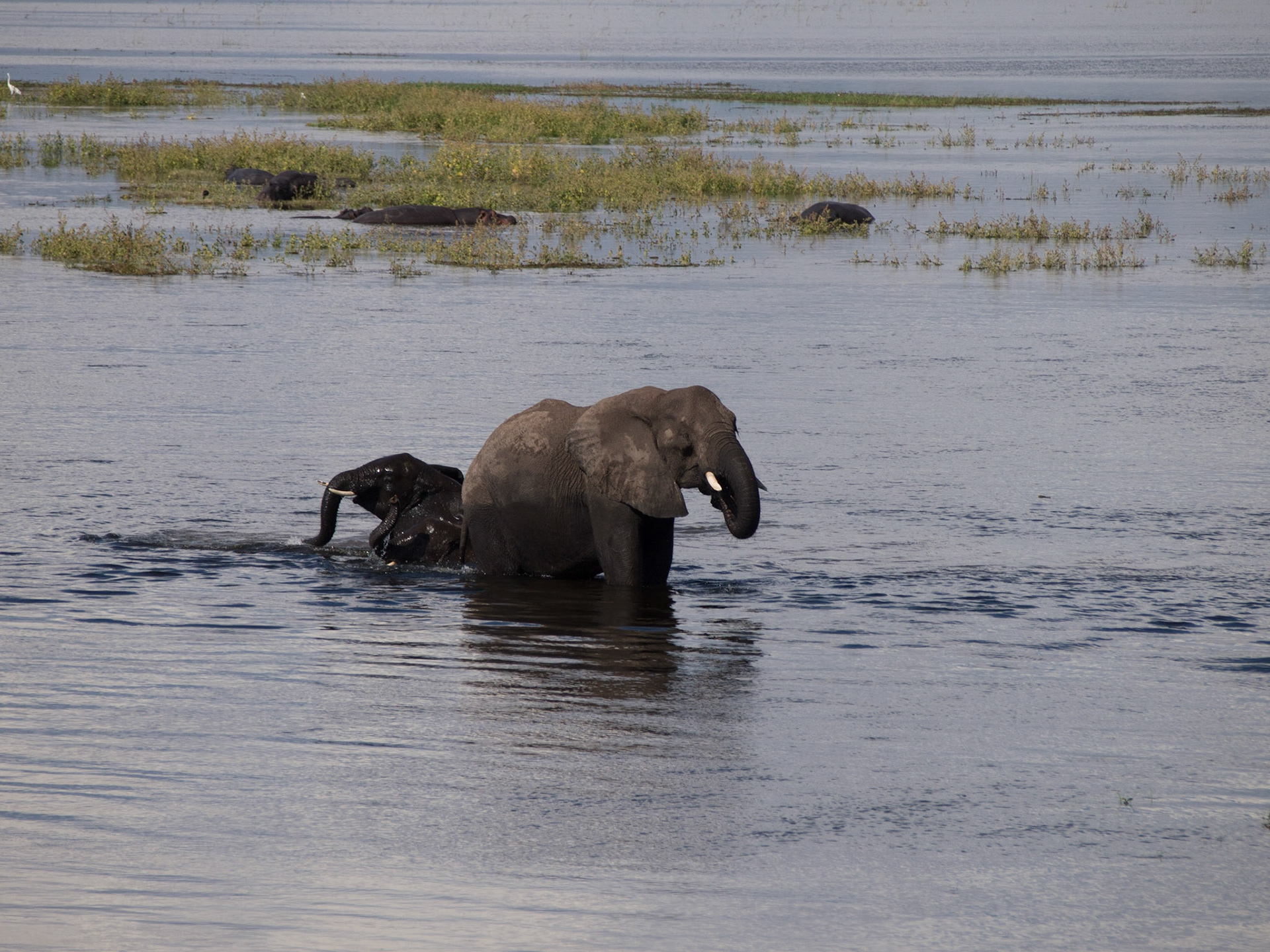 , North West, Botswana [Apr 2014]