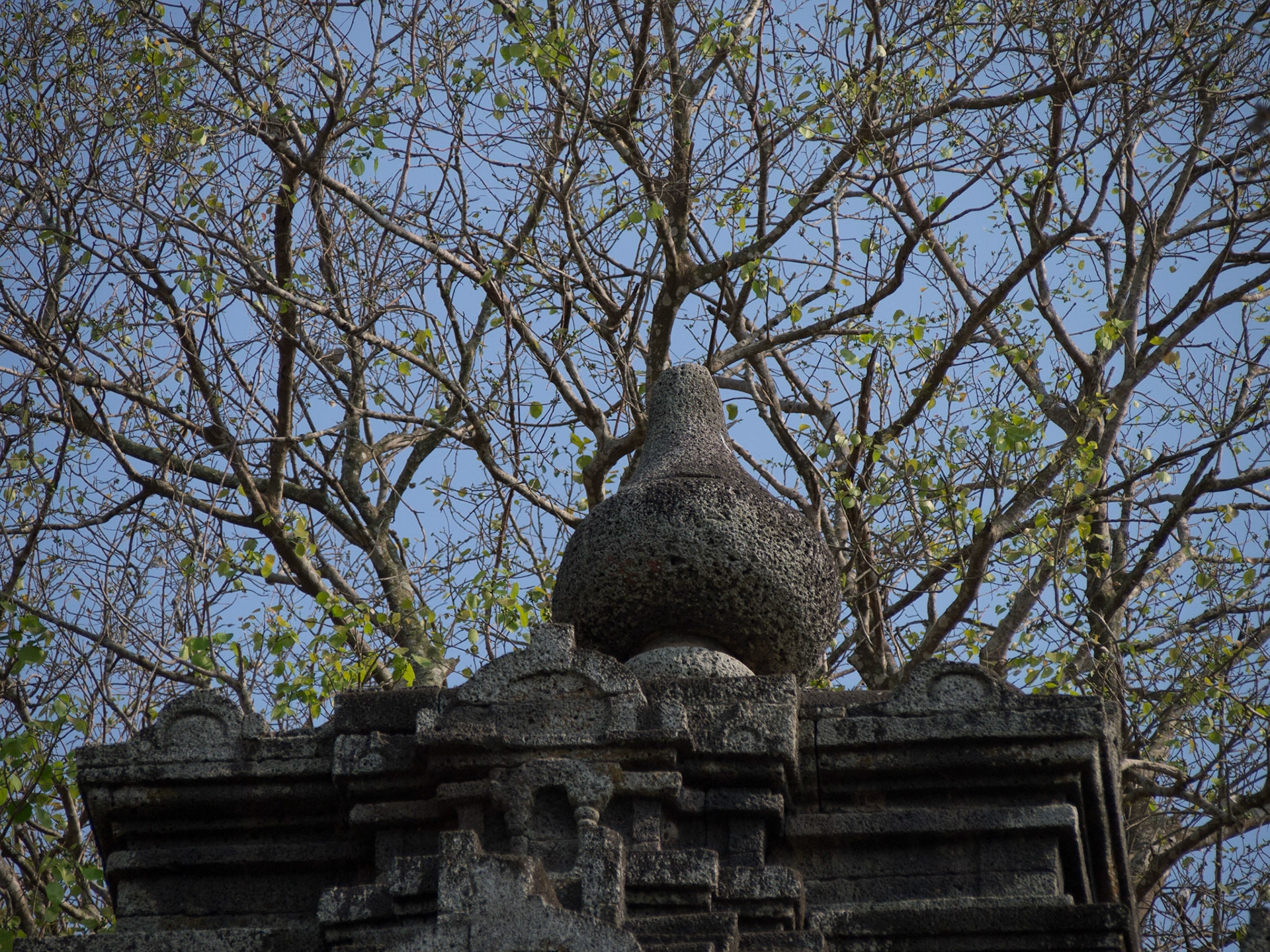 Angkor Borei, Takeo, Cambodia [Mar 2015]