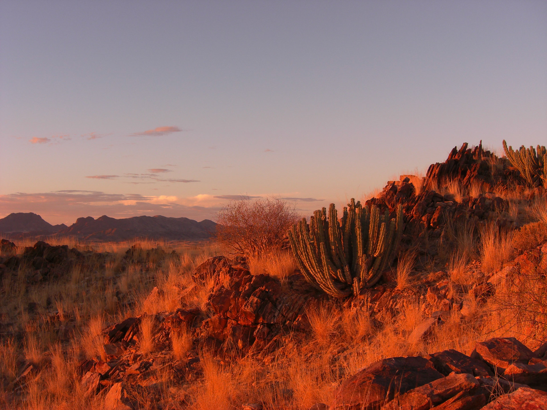 , Khomas, Namibia [Apr 2010]