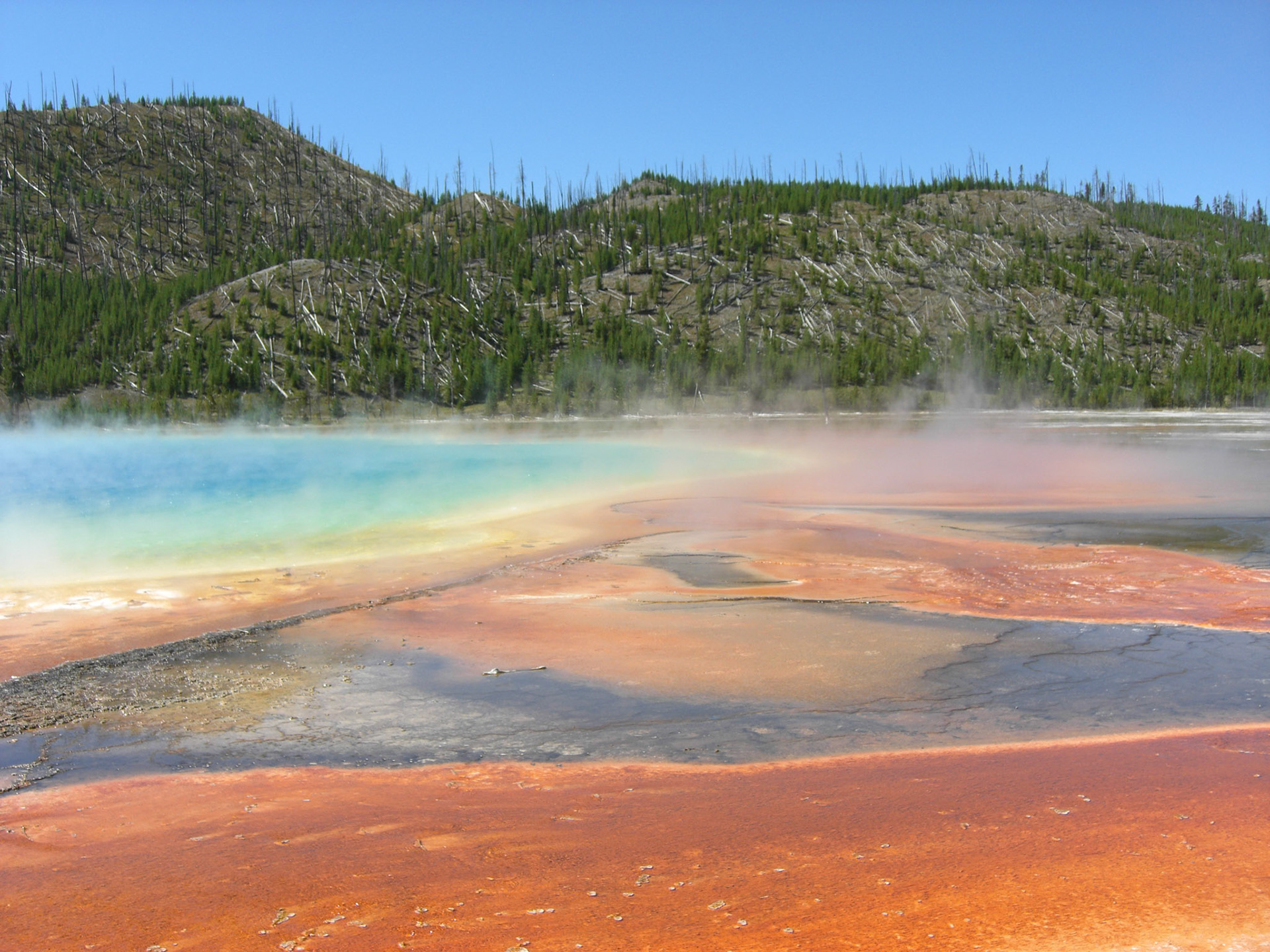 Yellowstone National Park, Wyoming, United States [Aug 2008]