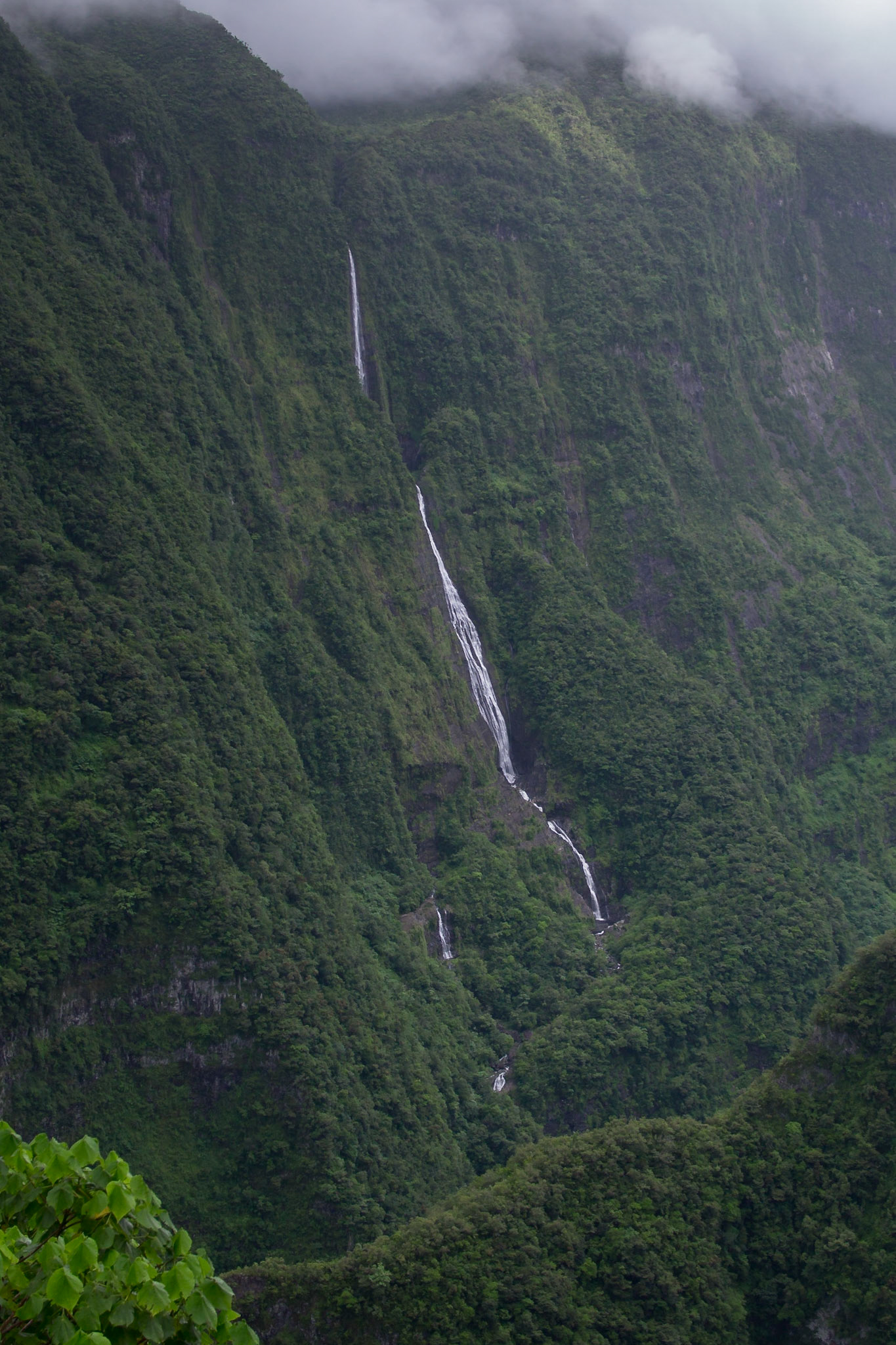 Takamaka, Saint-Benoit, Réunion [Apr 2017]