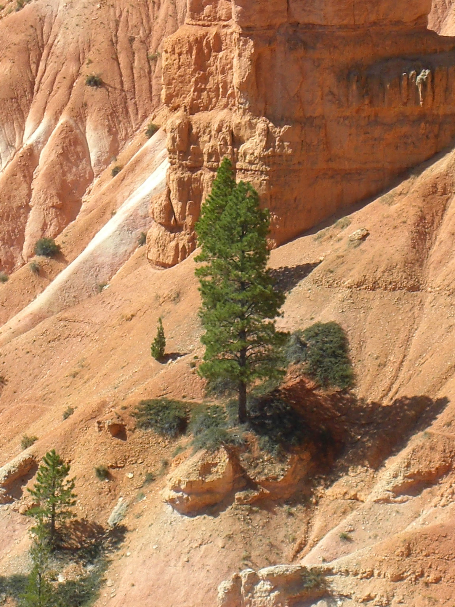 Tropic, Utah, United States [Aug 2008]