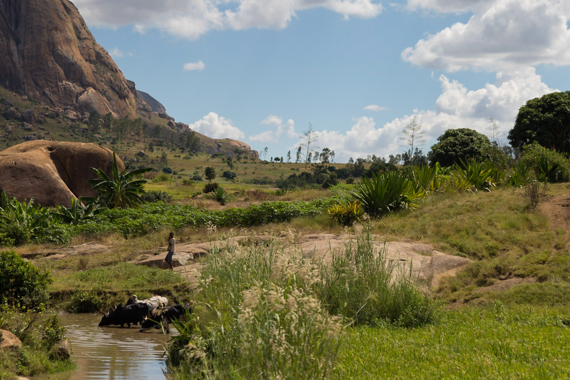 Larintsena, Fianarantsoa , Madagascar [Apr 2019]