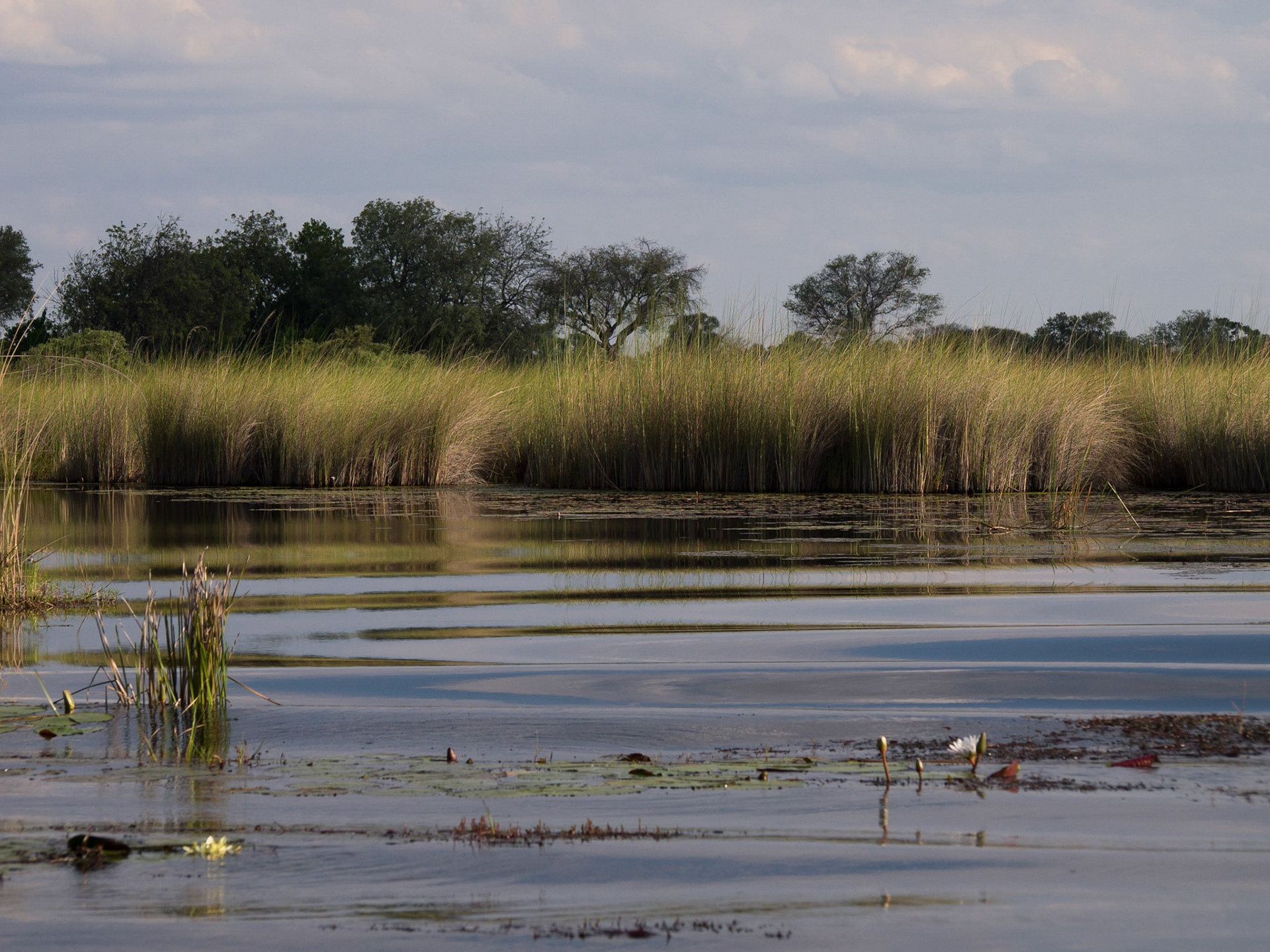 , North West, Botswana [Apr 2014]
