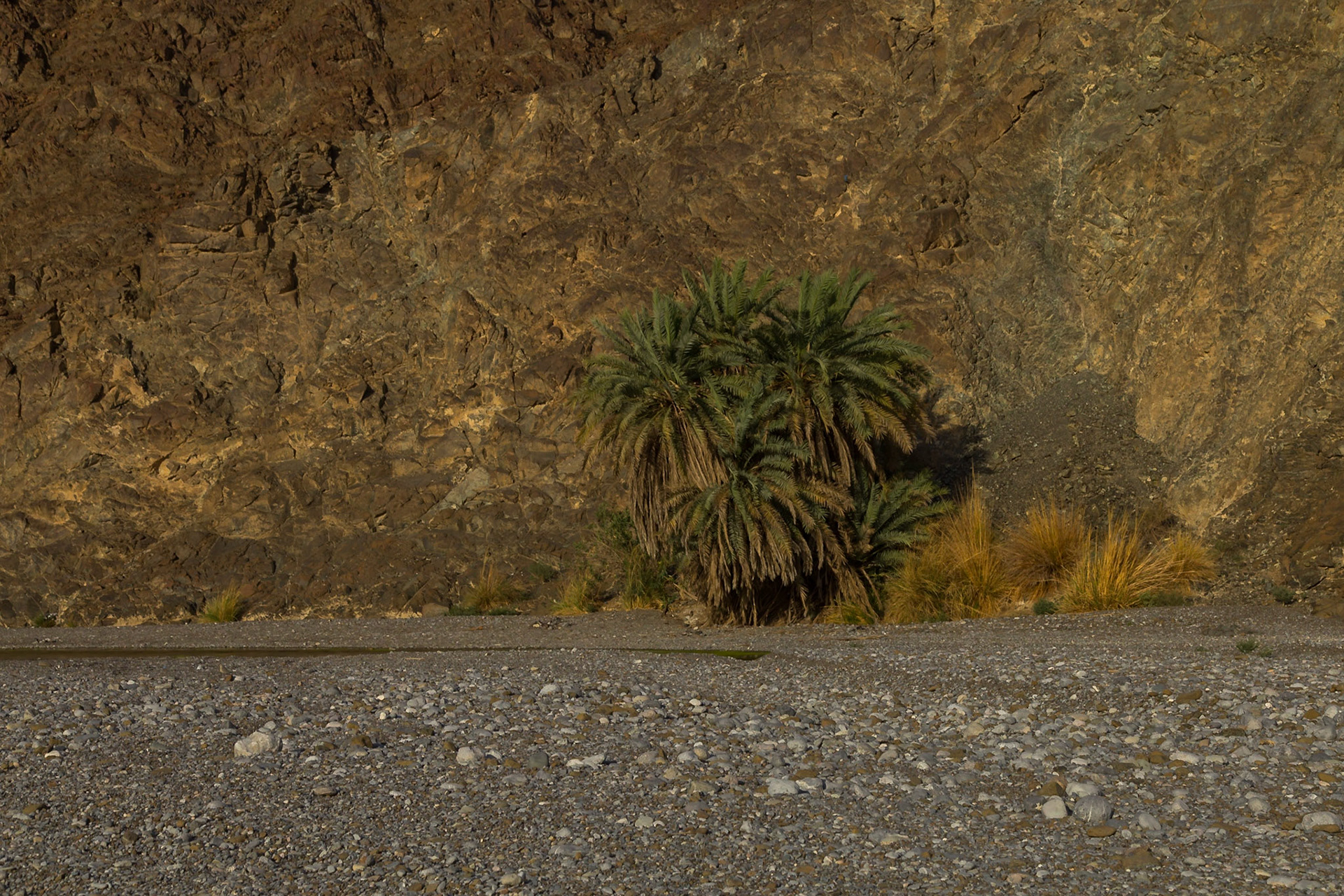 Nakhal, Al Batinah South Governorate, Oman [Mar 2018]