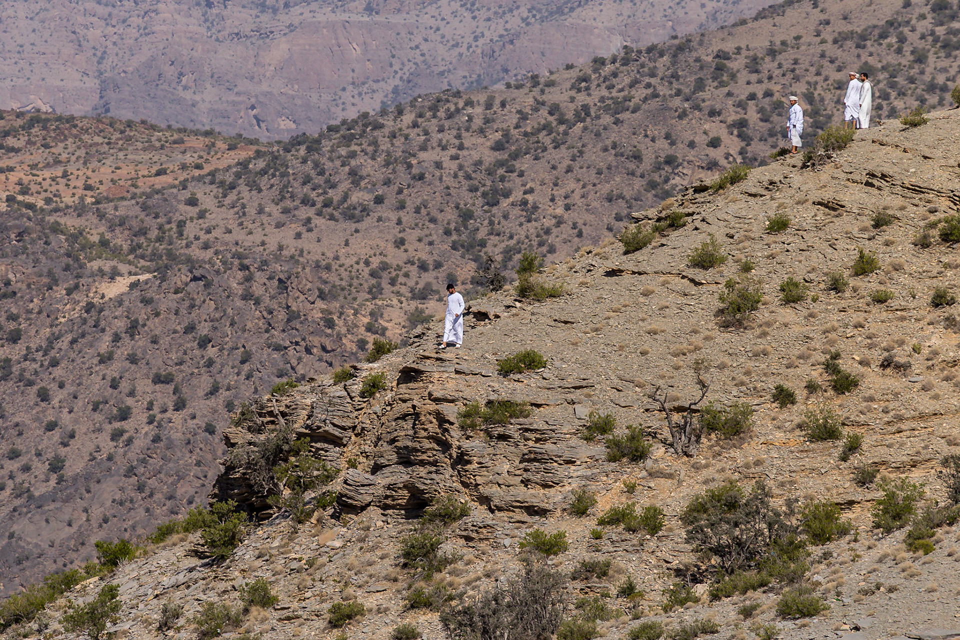 Al Hamra, Ad Dakhiliyah Governorate, Oman [Mar 2018]
