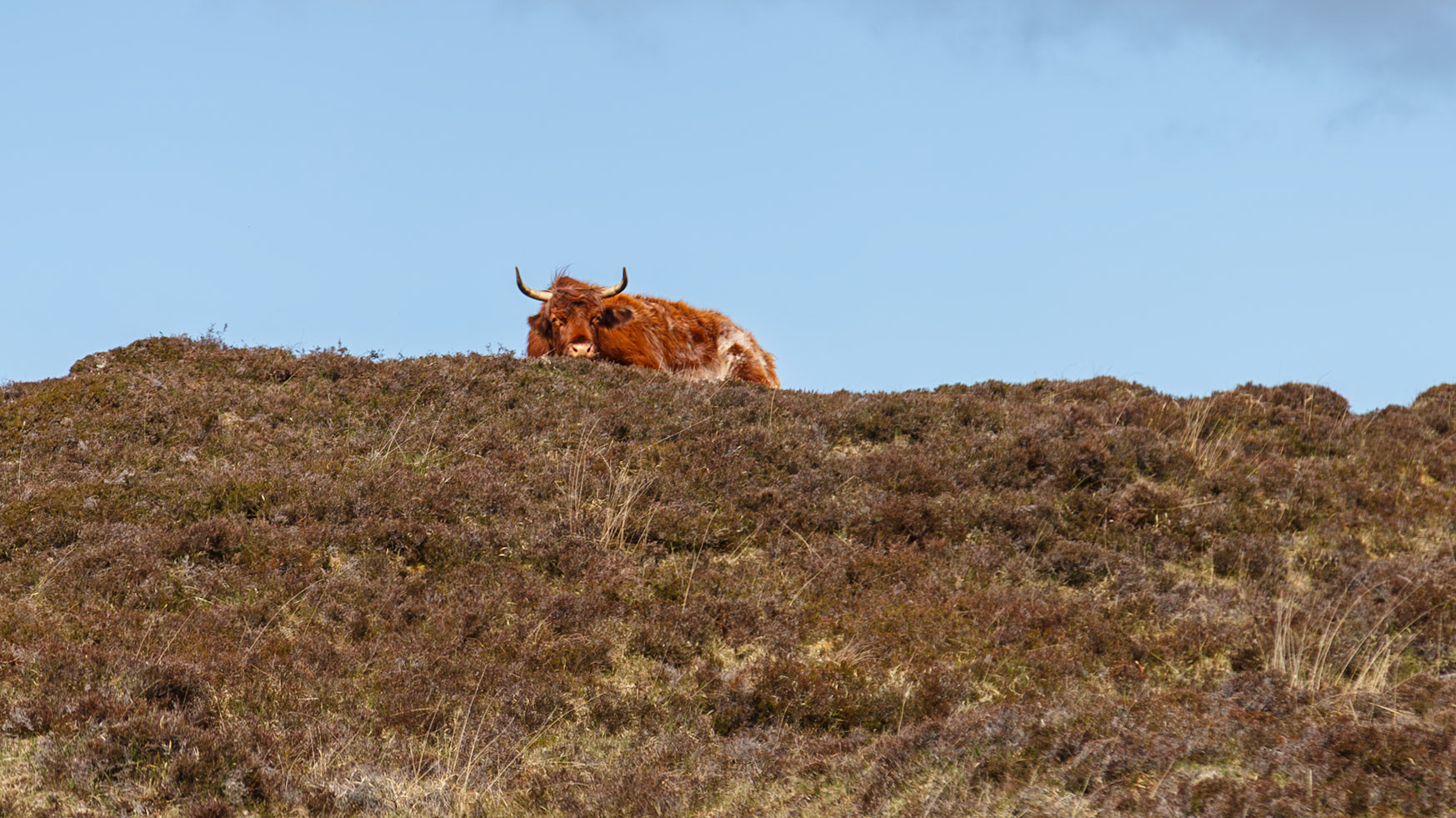 Isle of Lewis, Scotland, United Kingdom [May 2026]