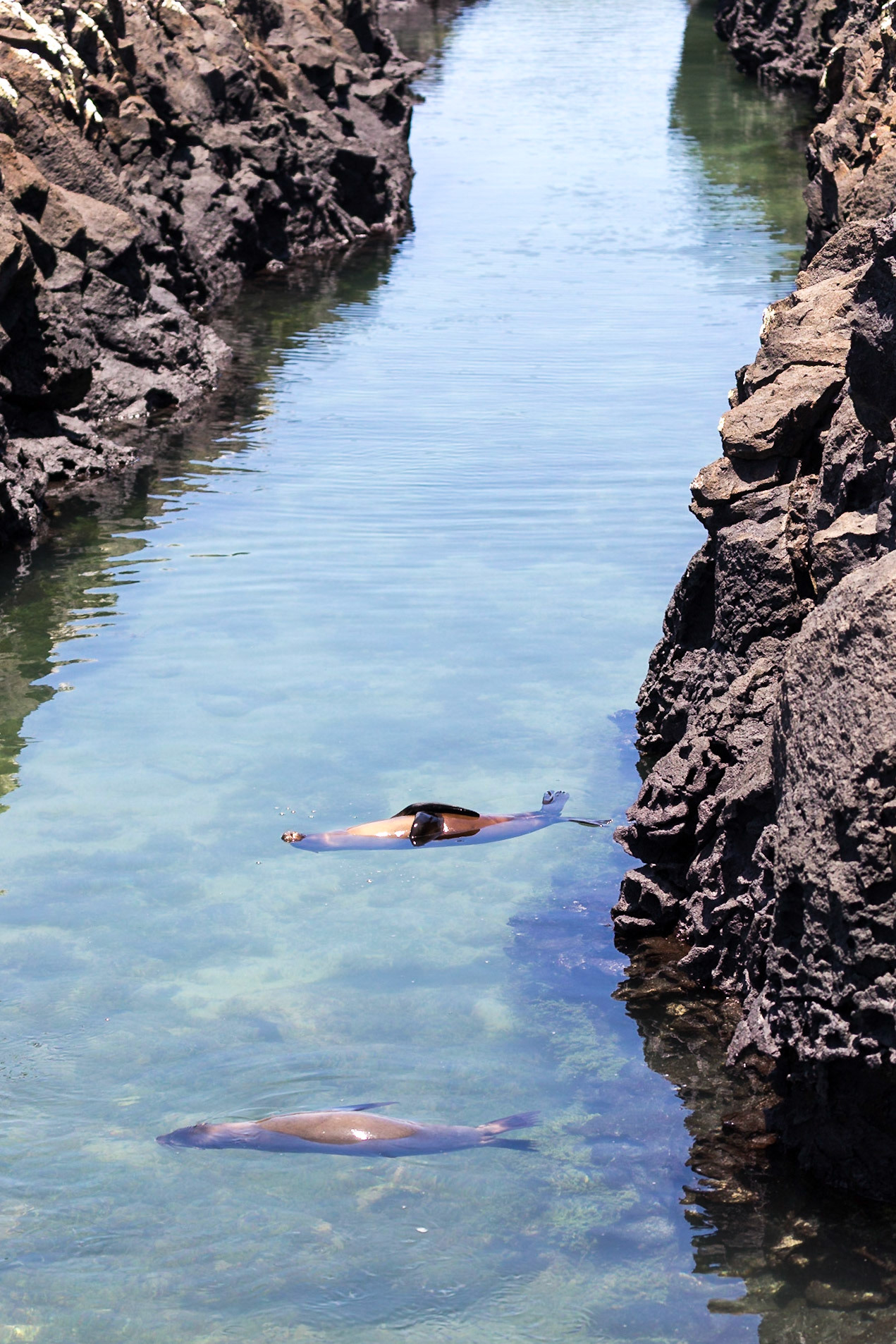 Isabela Canton, Galápagos, Ecuador [Apr 2022]