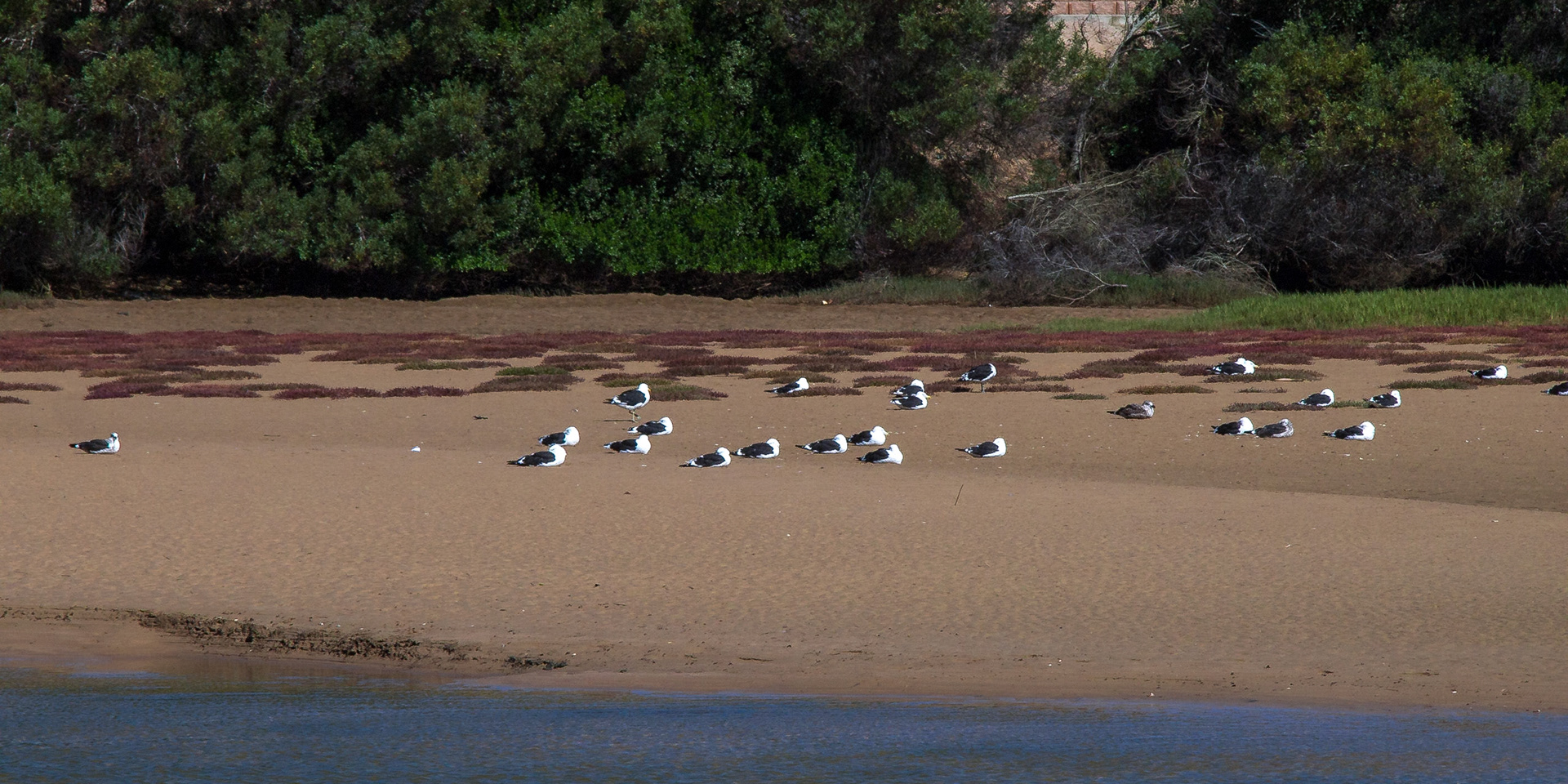 Plettenberg Bay, Western Cape, South Africa [Mar 2016]