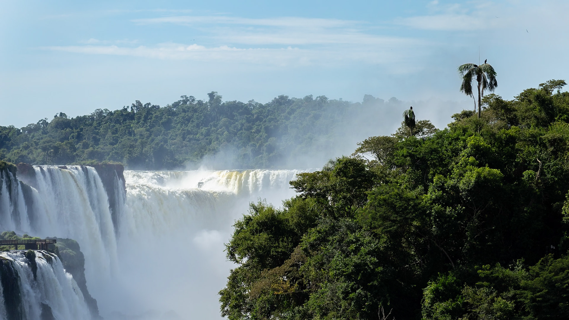 Puerto Iguazú, Misiones, Argentina [Feb 2024]