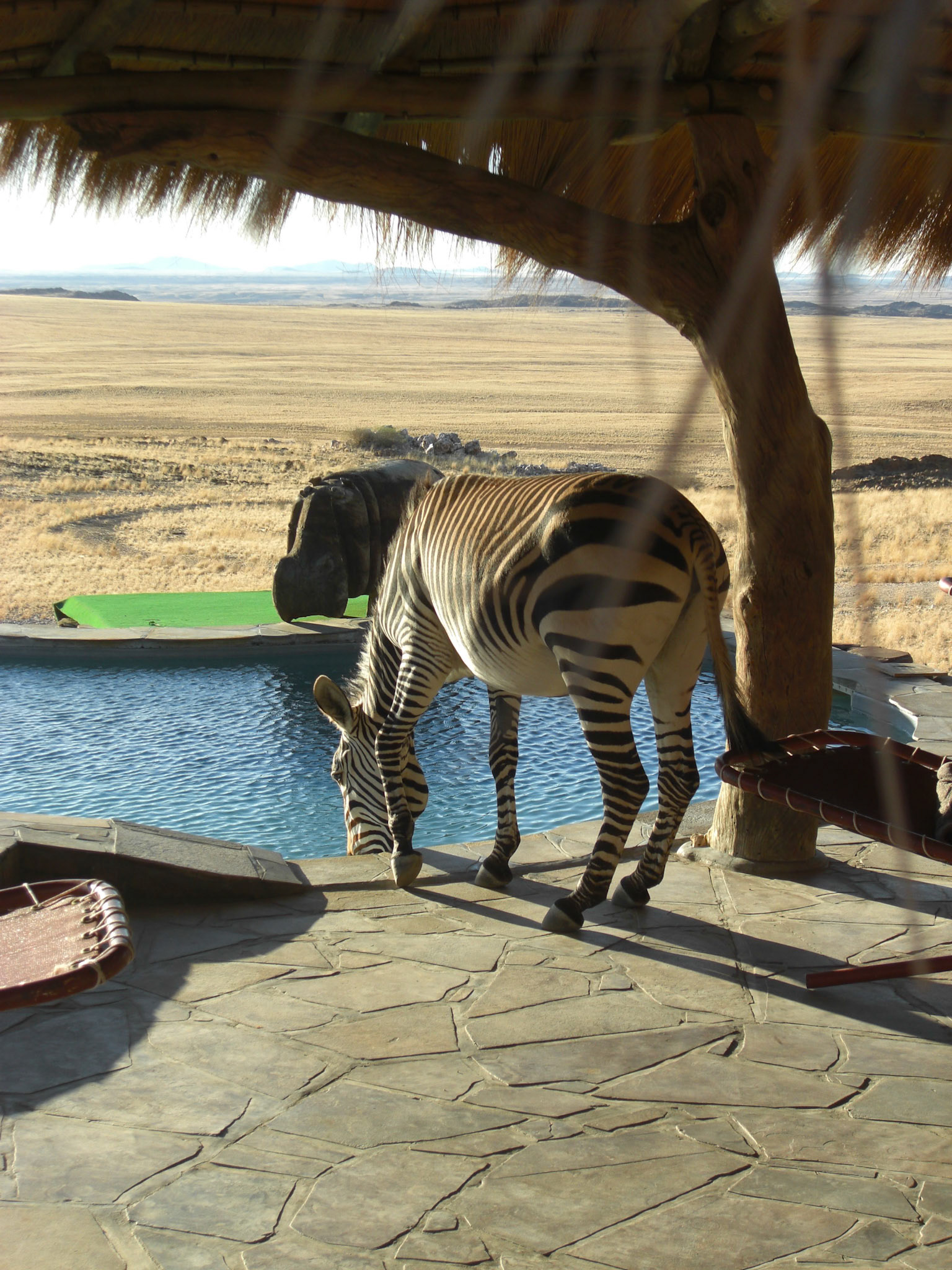 , Khomas, Namibia [Apr 2010]