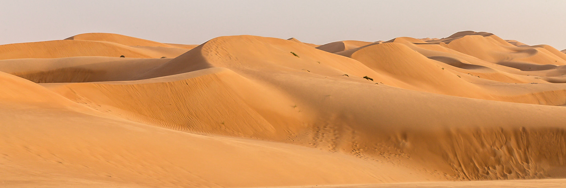 Bidiya, Ash Sharqiyah North Governorate, Oman [Apr 2018]