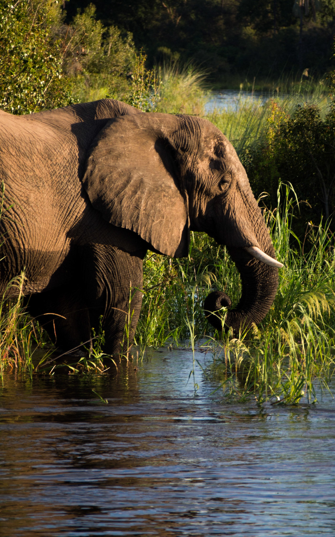 Victoria Falls, Matabeleland North, Zimbabwe [Apr 2014]
