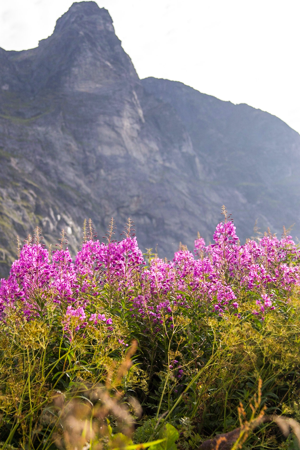 Skaland, Troms, Norway [Aug 2022]