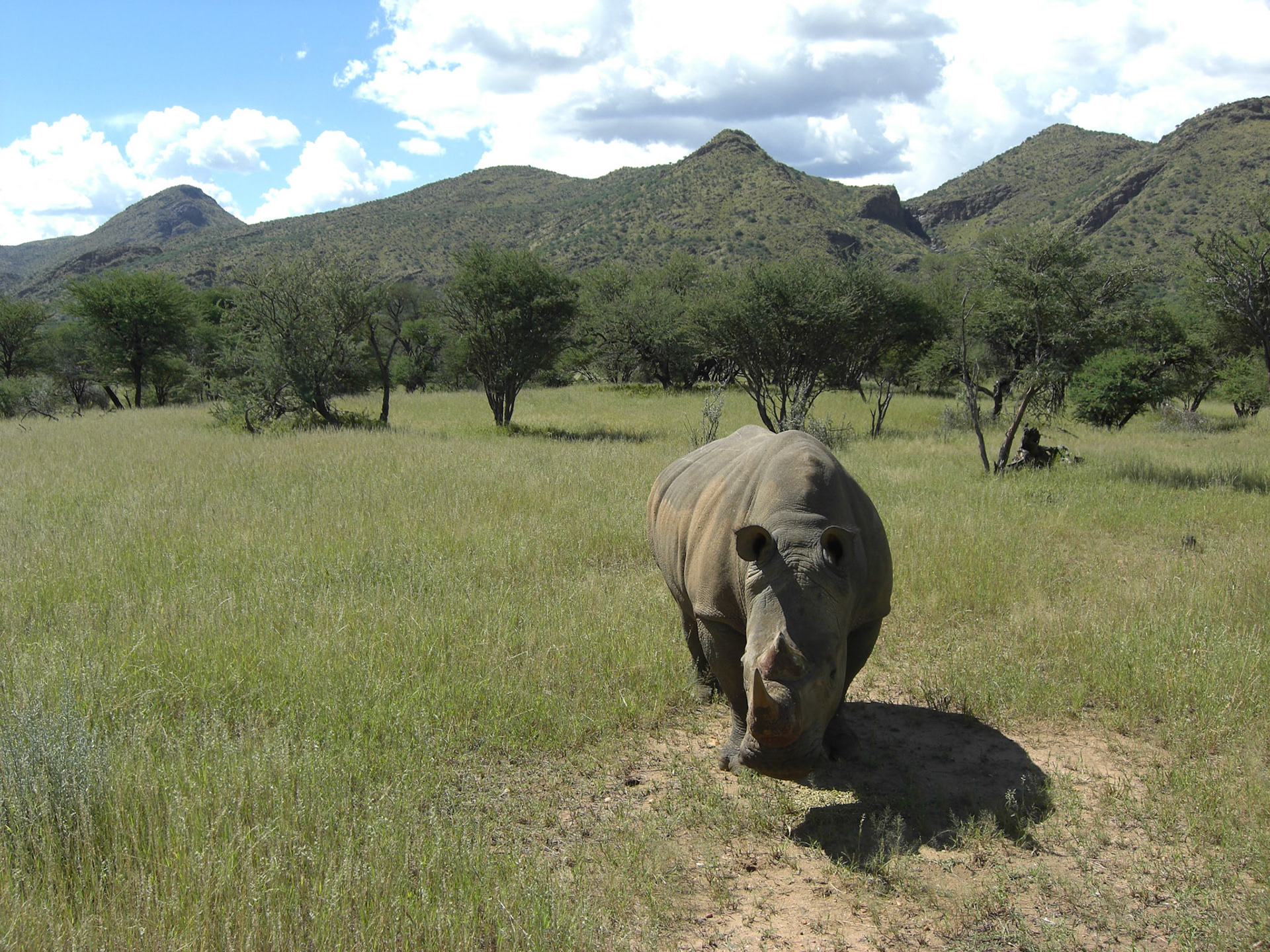 , Khomas, Namibia [Apr 2010]