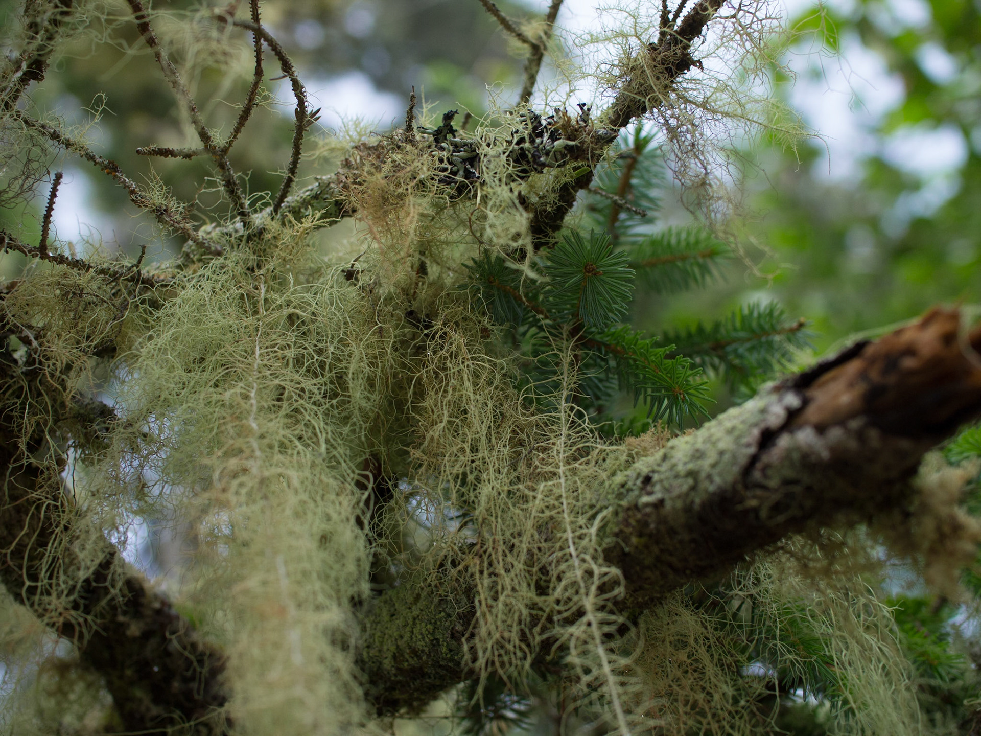 Tofino, British Columbia, Canada [Sept 2014]