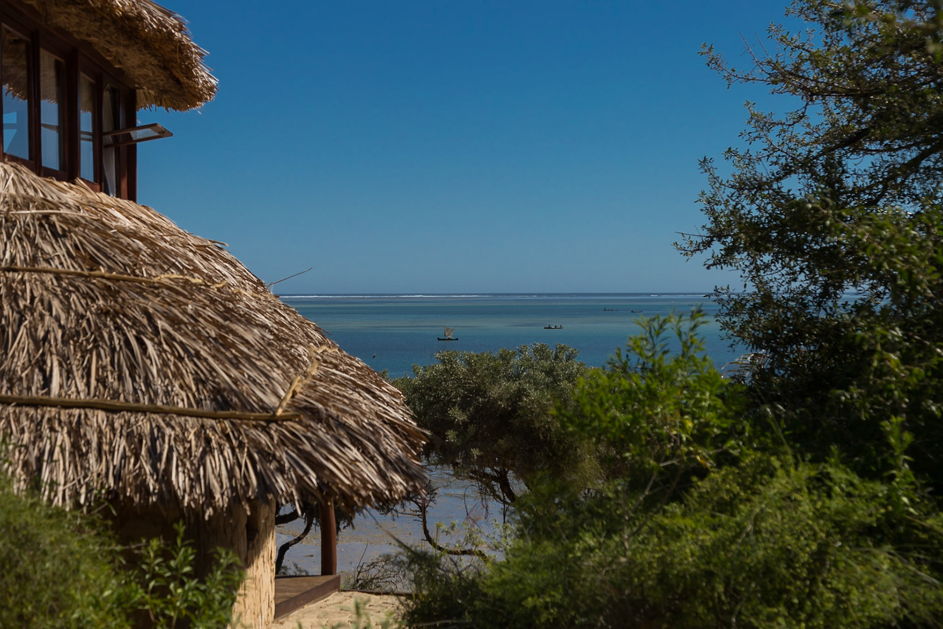 Ifaty, Toliara, Madagascar [Apr 2019]