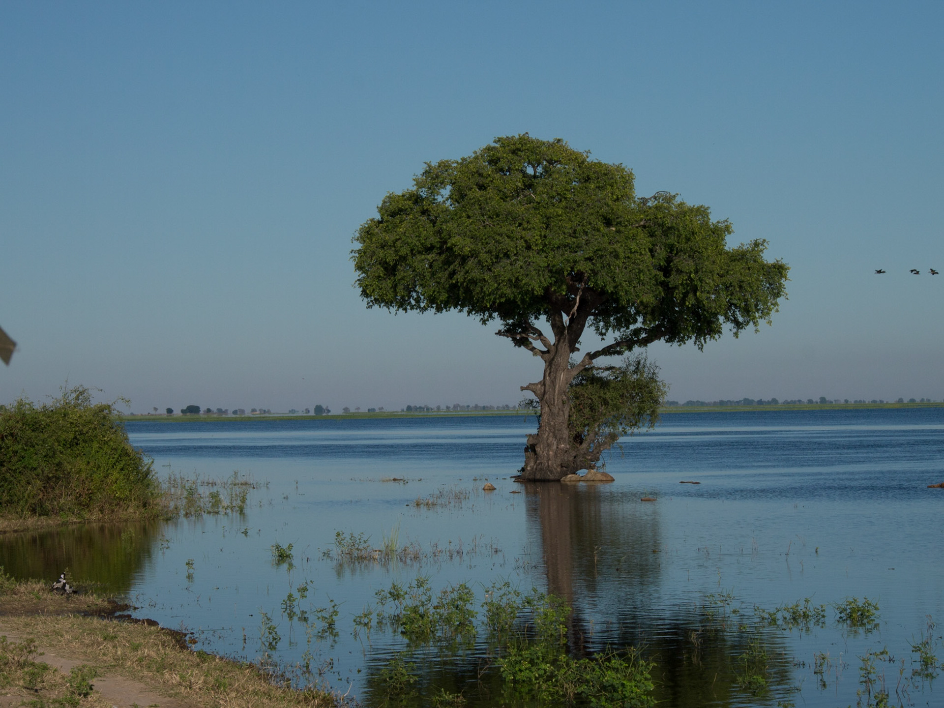 , North West, Botswana [Apr 2014]