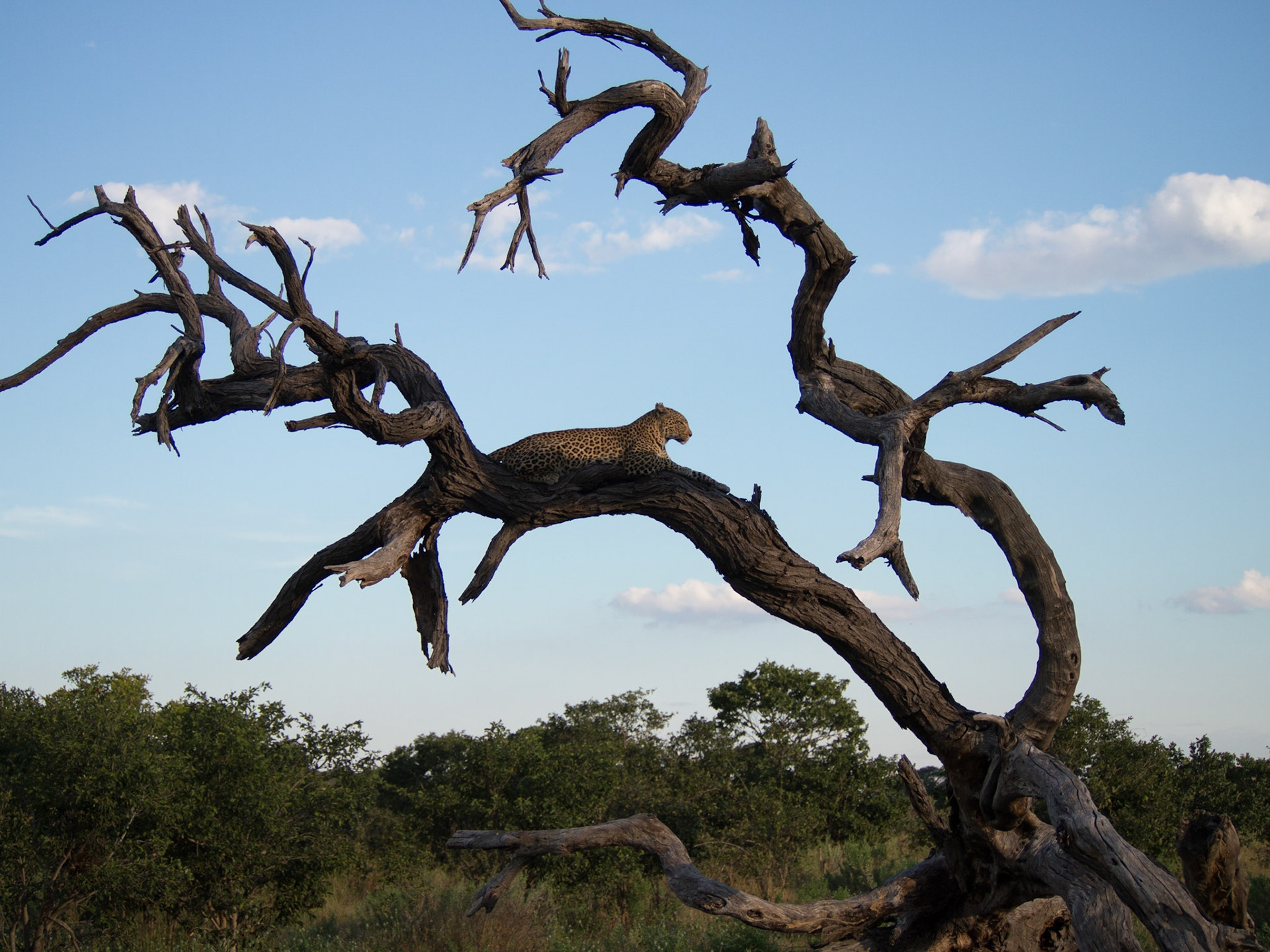 , North West, Botswana [Apr 2014]