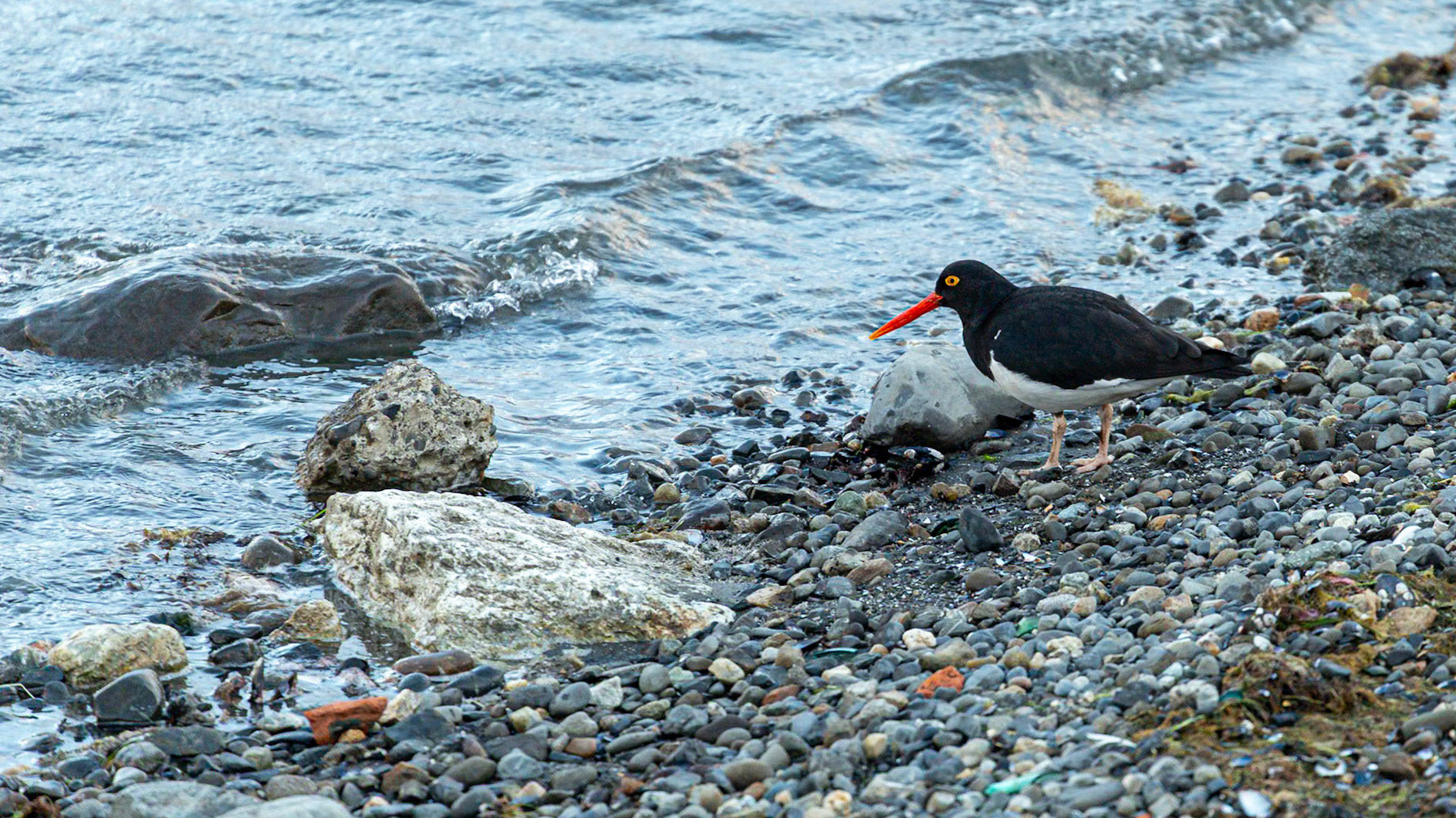 Natales, Magellan and the Chilean Antarctic, Chile [Jan 2024]