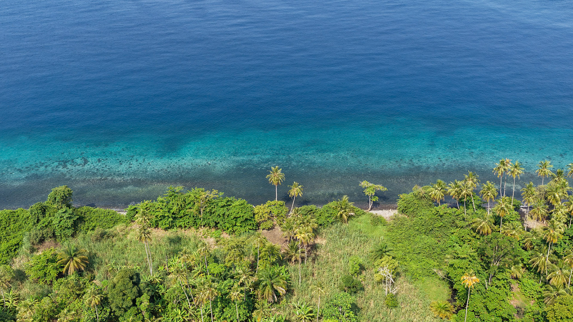 , Lembá, São Tomé and Príncipe [Jan 2026]