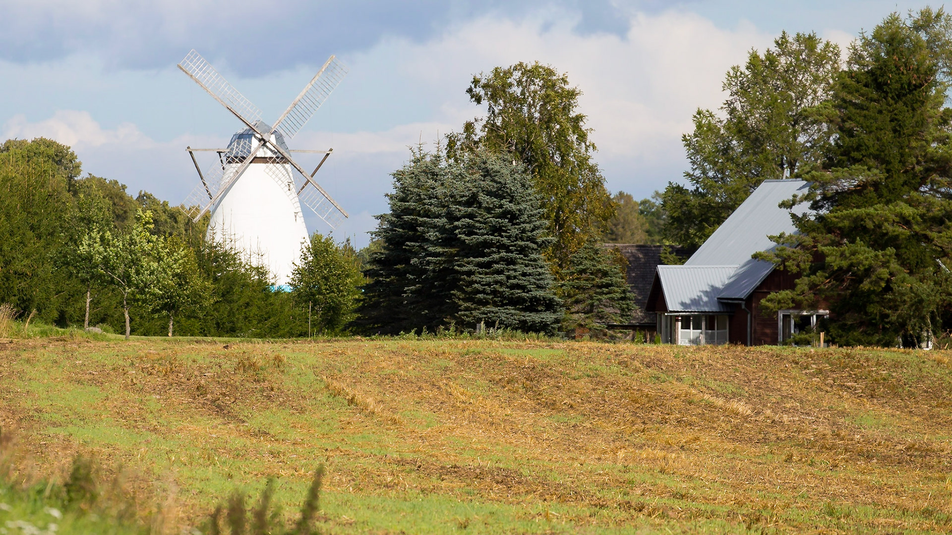 Vihula Rural Municipality, Lääne-Viru, Estonia [Aug 2020]