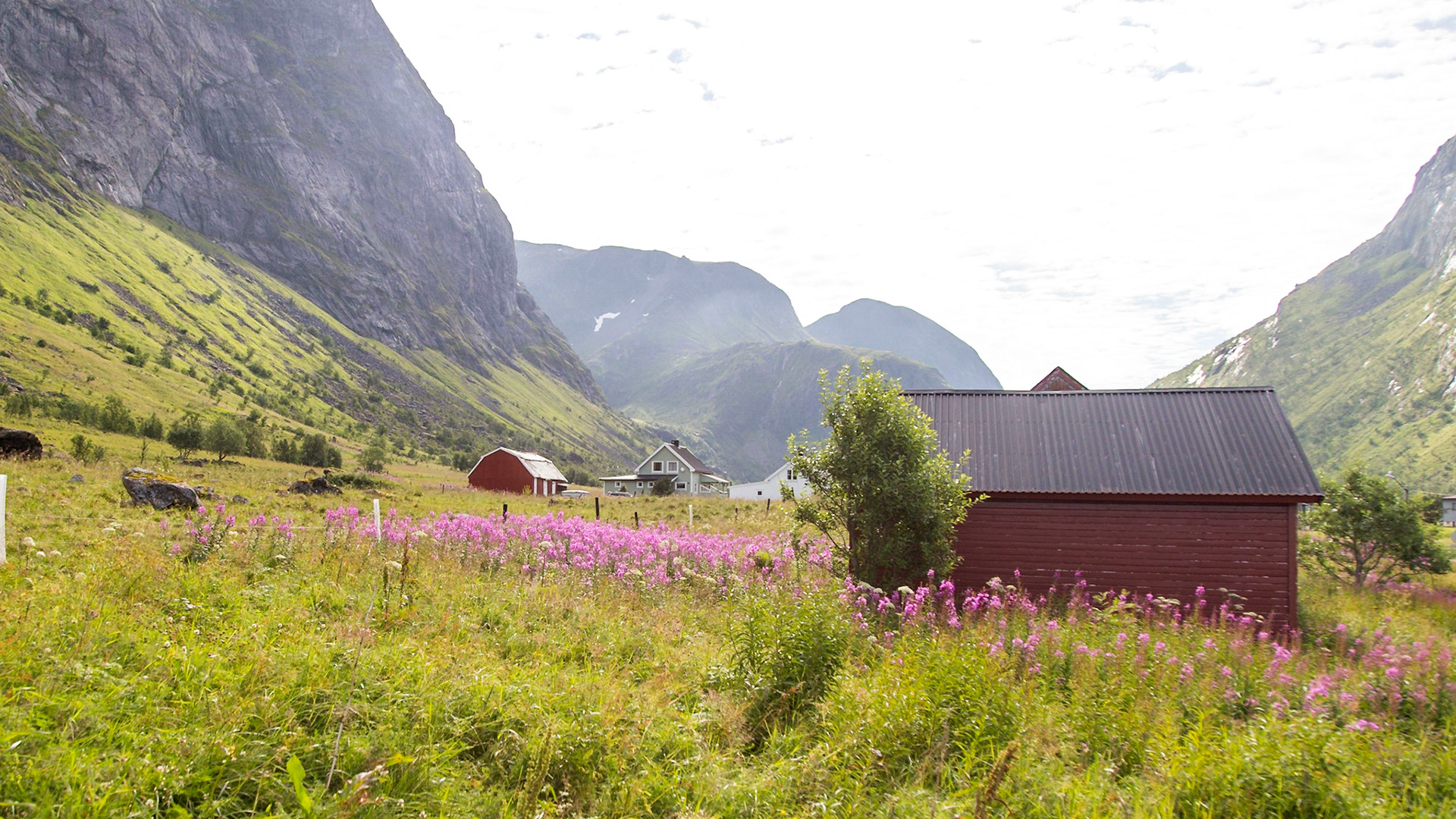 Skaland, Troms, Norway [Aug 2022]