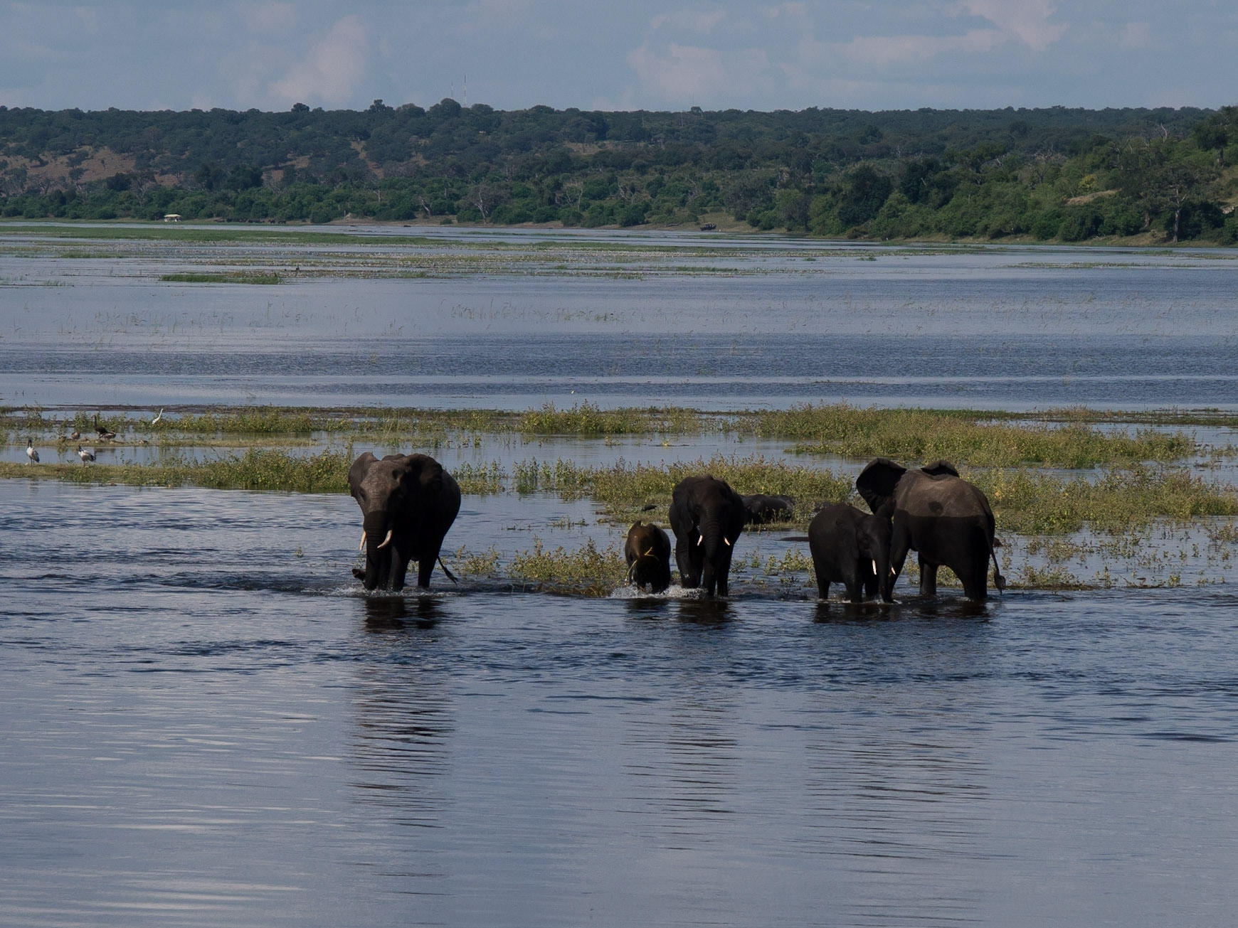 , North West, Botswana [Apr 2014]