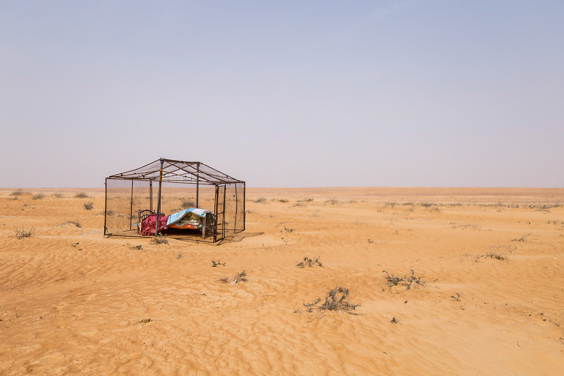 Jalan Bani Bu Hassan, Ash Sharqiyah South Governorate, Oman [Apr 2018]