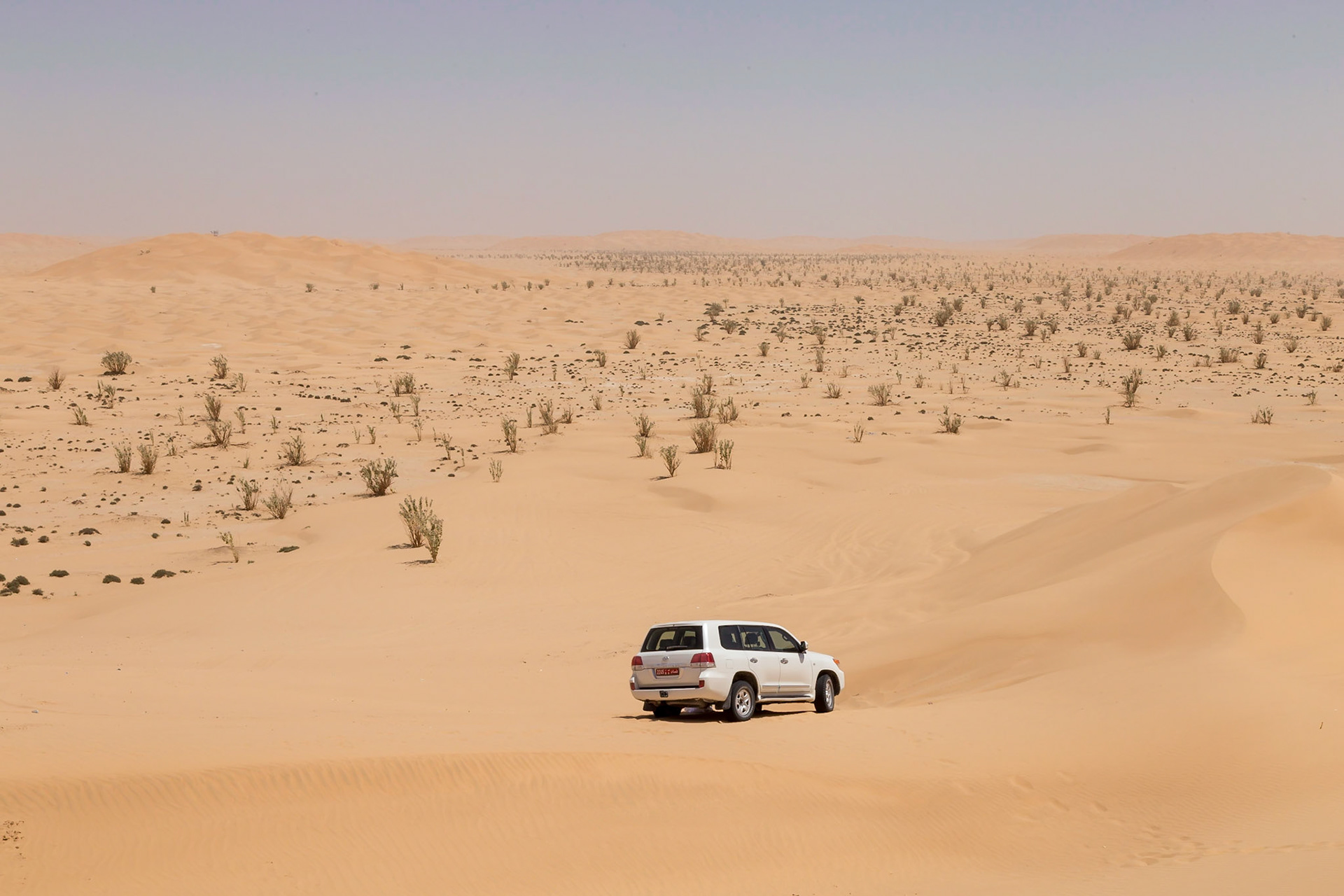 Thumrait, Dhofar Governorate, Oman [Mar 2018]