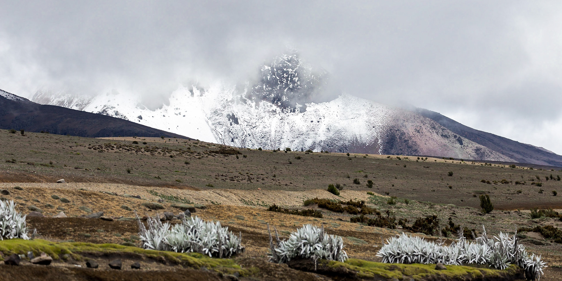 Riobamba Canton, Chimborazo, Ecuador [Mar 2022]