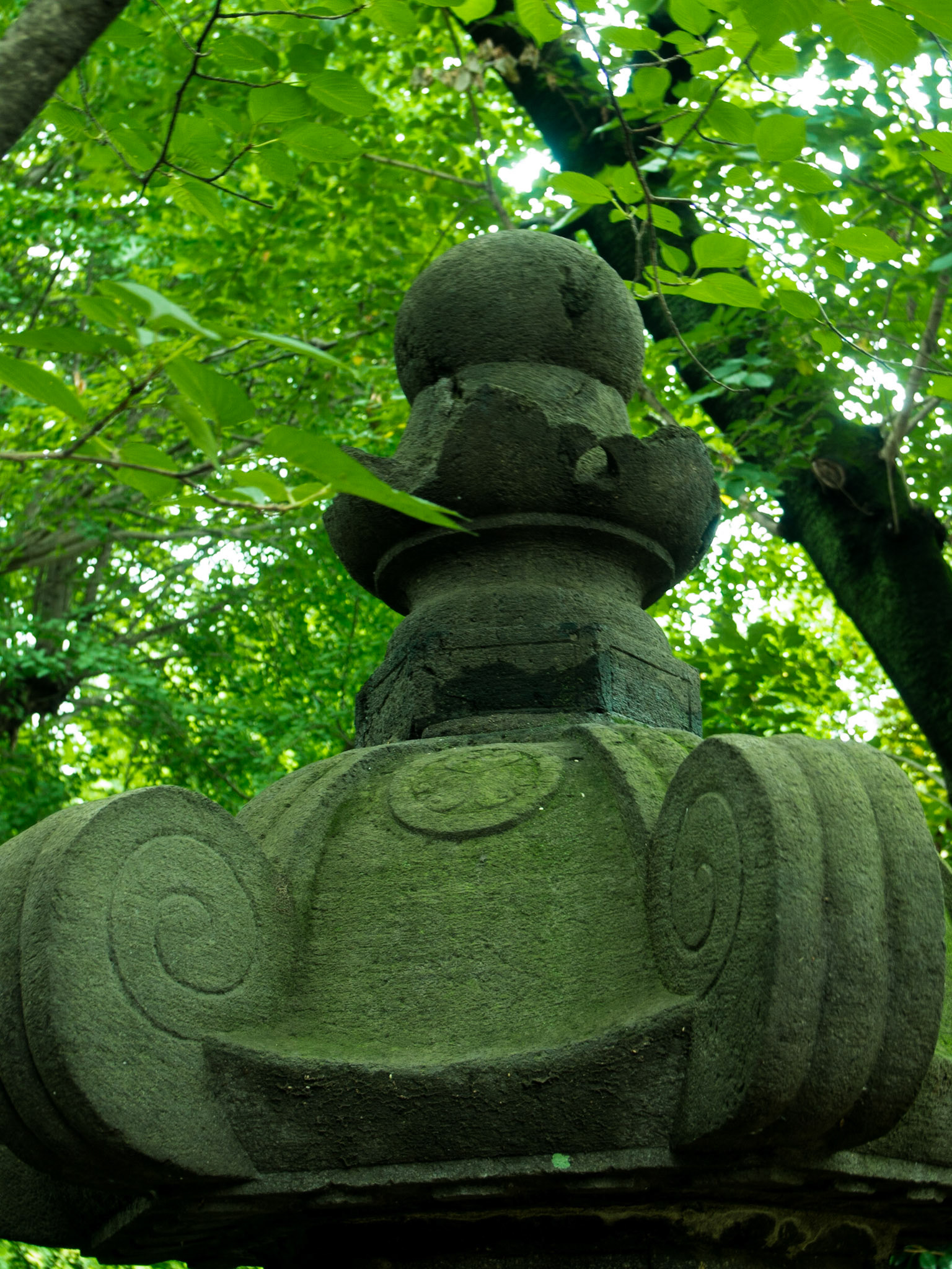 Tokyo, Tokyo Prefecture, Japan [Jul 2014]