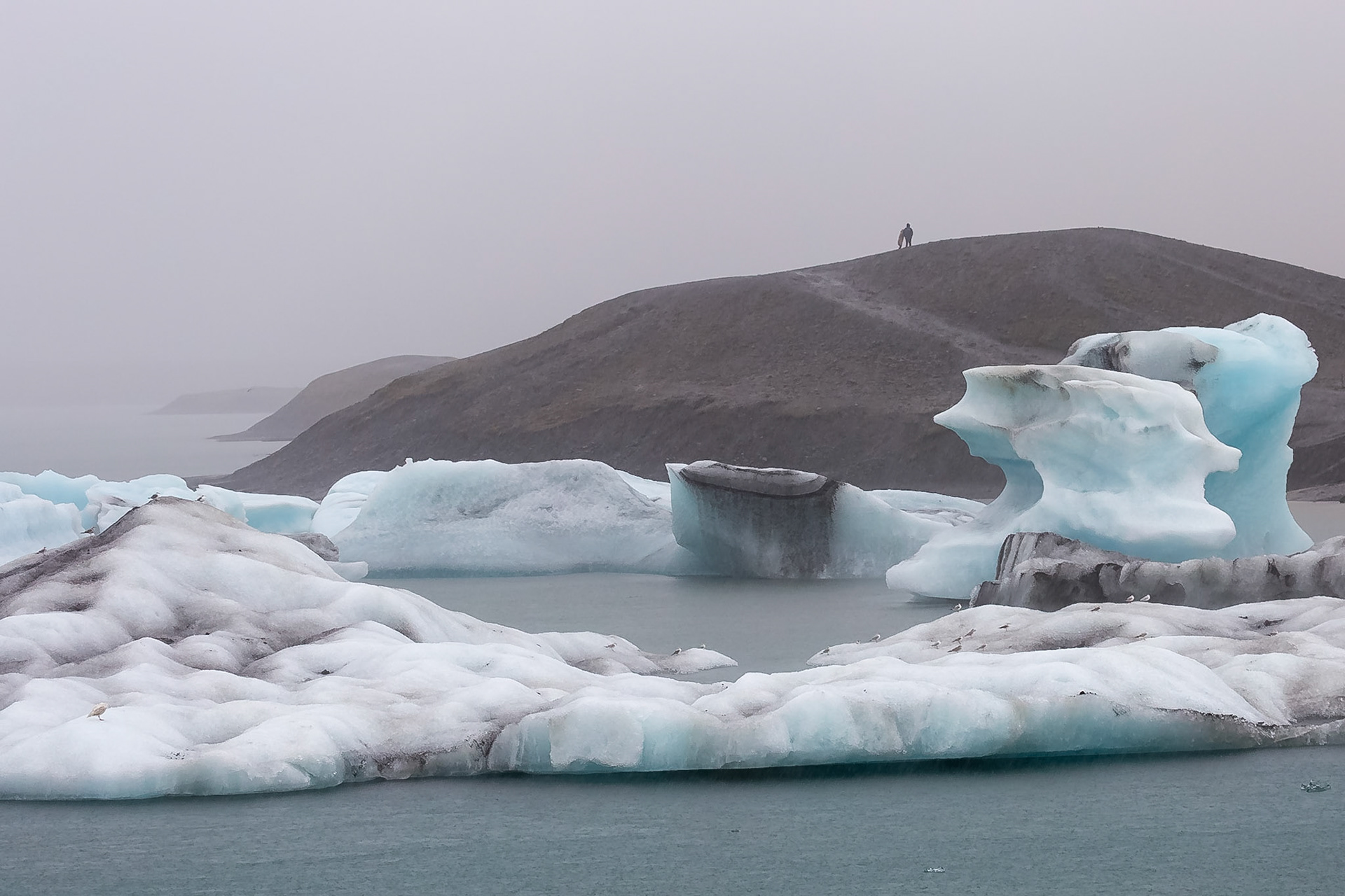 Jökulsárlón, Sveitarfélagid Hornafjörđur, iceland [Aug 2018]